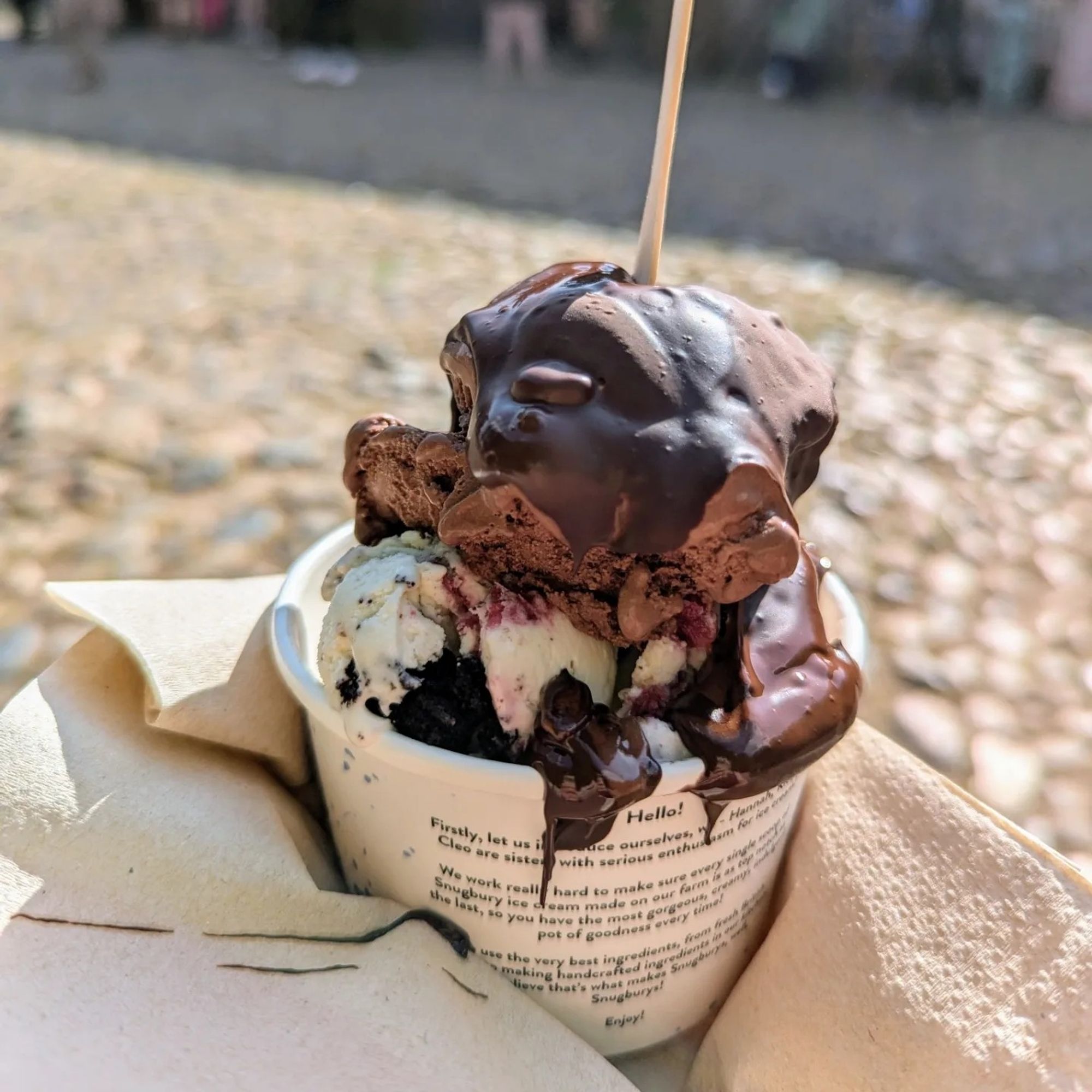 A small tub with two scoops of very tasty ice cream - chocolate sorbet and cherry gateau flavours if you're wondering