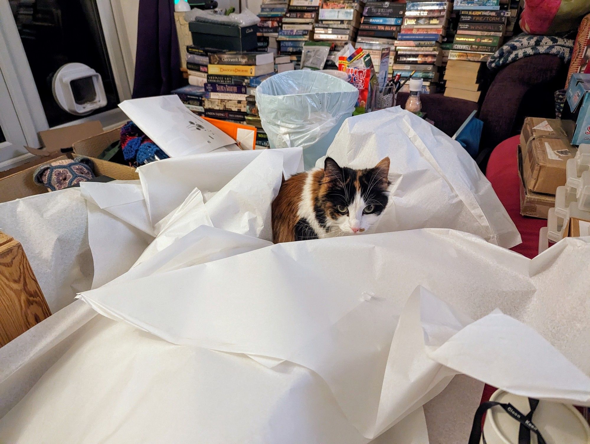 A tortoiseshell and white cat peering suspiciously from the nest she's creating in a pile of discarded packing paper