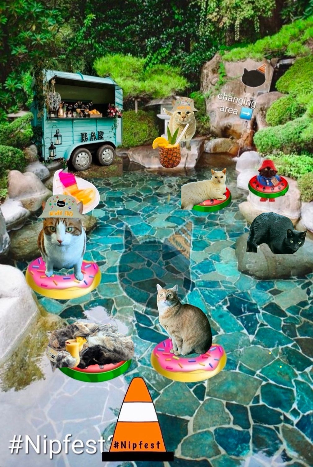 Cats at a pool with a bar
