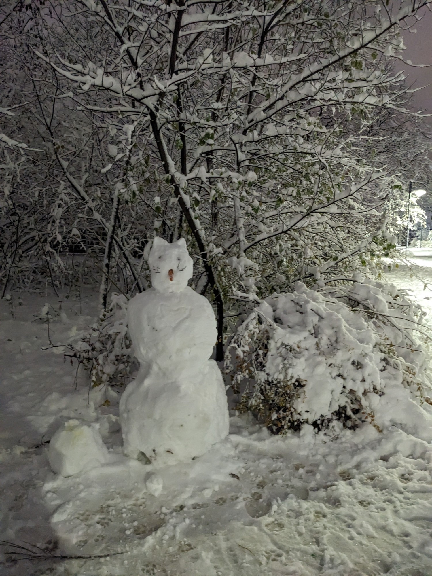 Snowman in front of snowy bushes