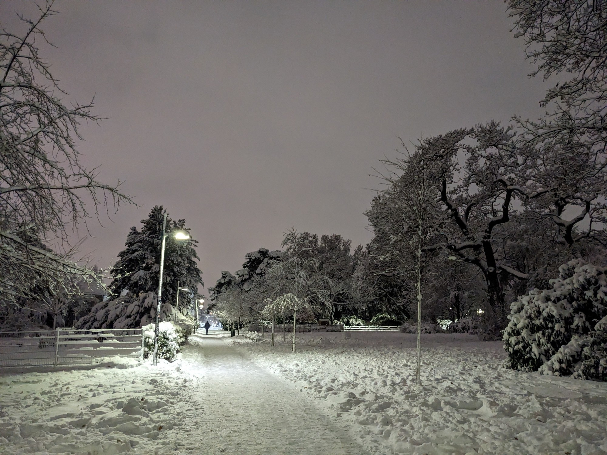 snowy landscape; a path next to lanterns, a fence, trees on every side