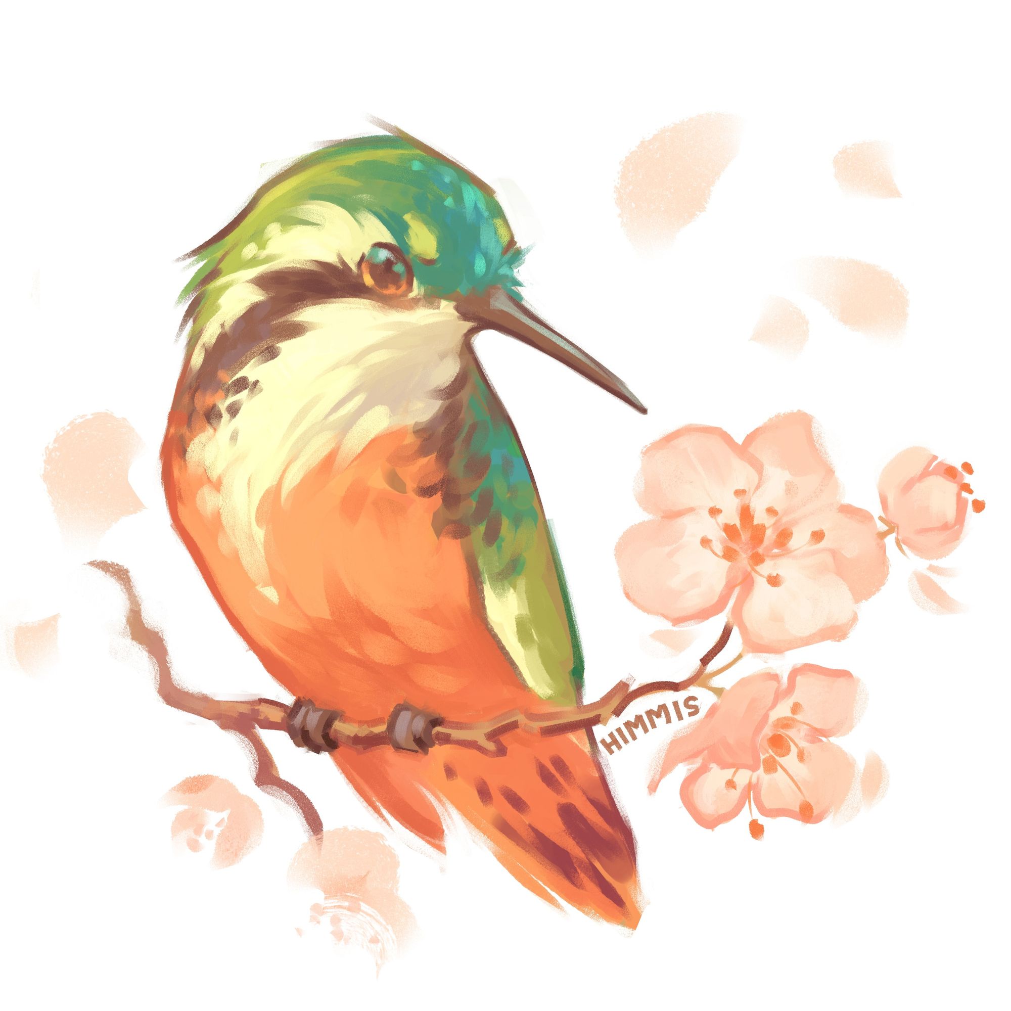 painterly drawn digital illustration of a hummingbird