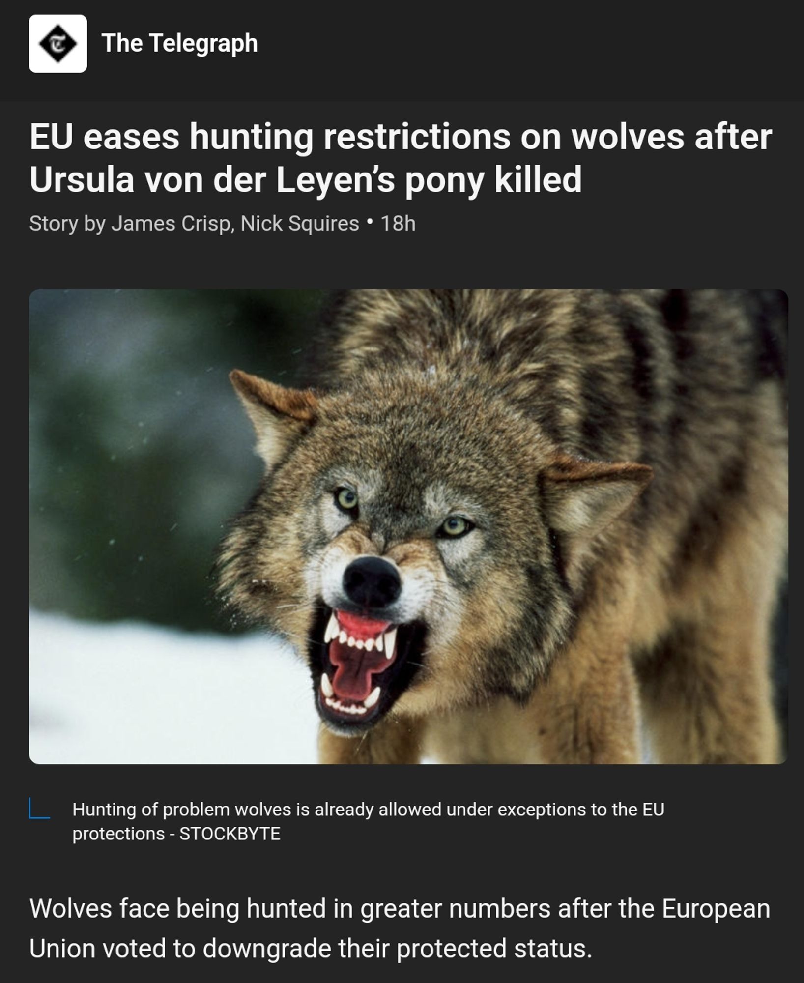 EU eases hunting restrictions on wolves after Ursula Von Der Leyen' pony killed

Wolves face being hunted in greater numbers after the European Union voted to downgrade their protected status