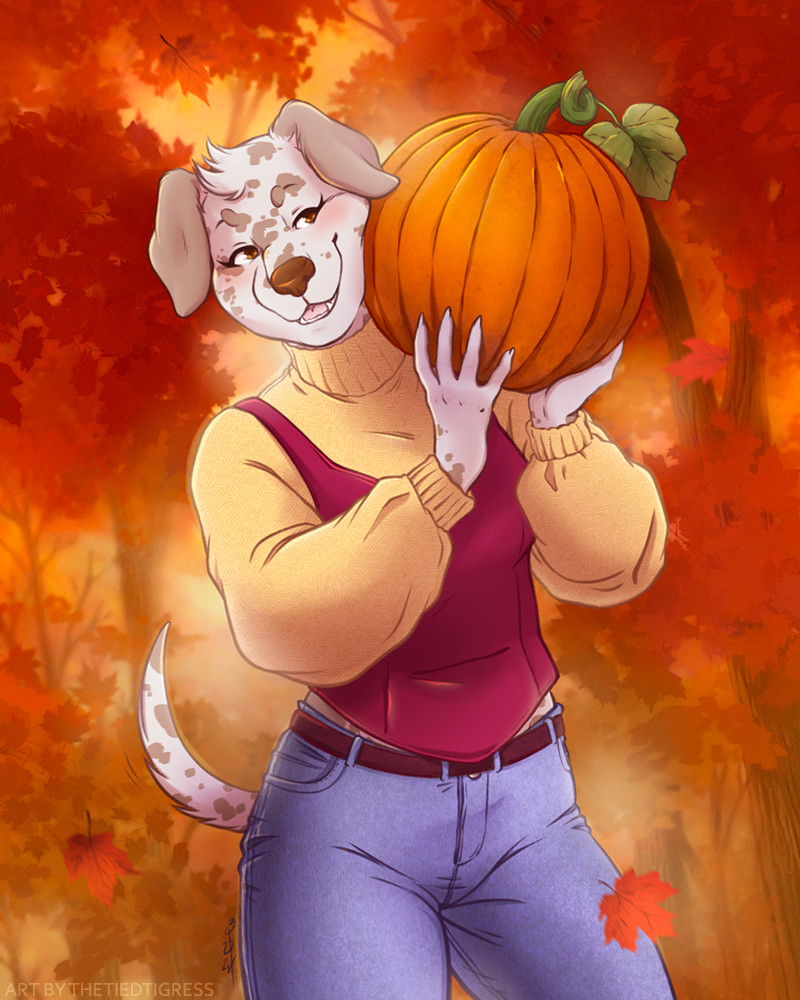 A smiling brown and white canine holds a pumpkin on their shoulder, standing in an autumn red forest, while wearing blue jeans and a yellow sweater with a magenta bustier on top 