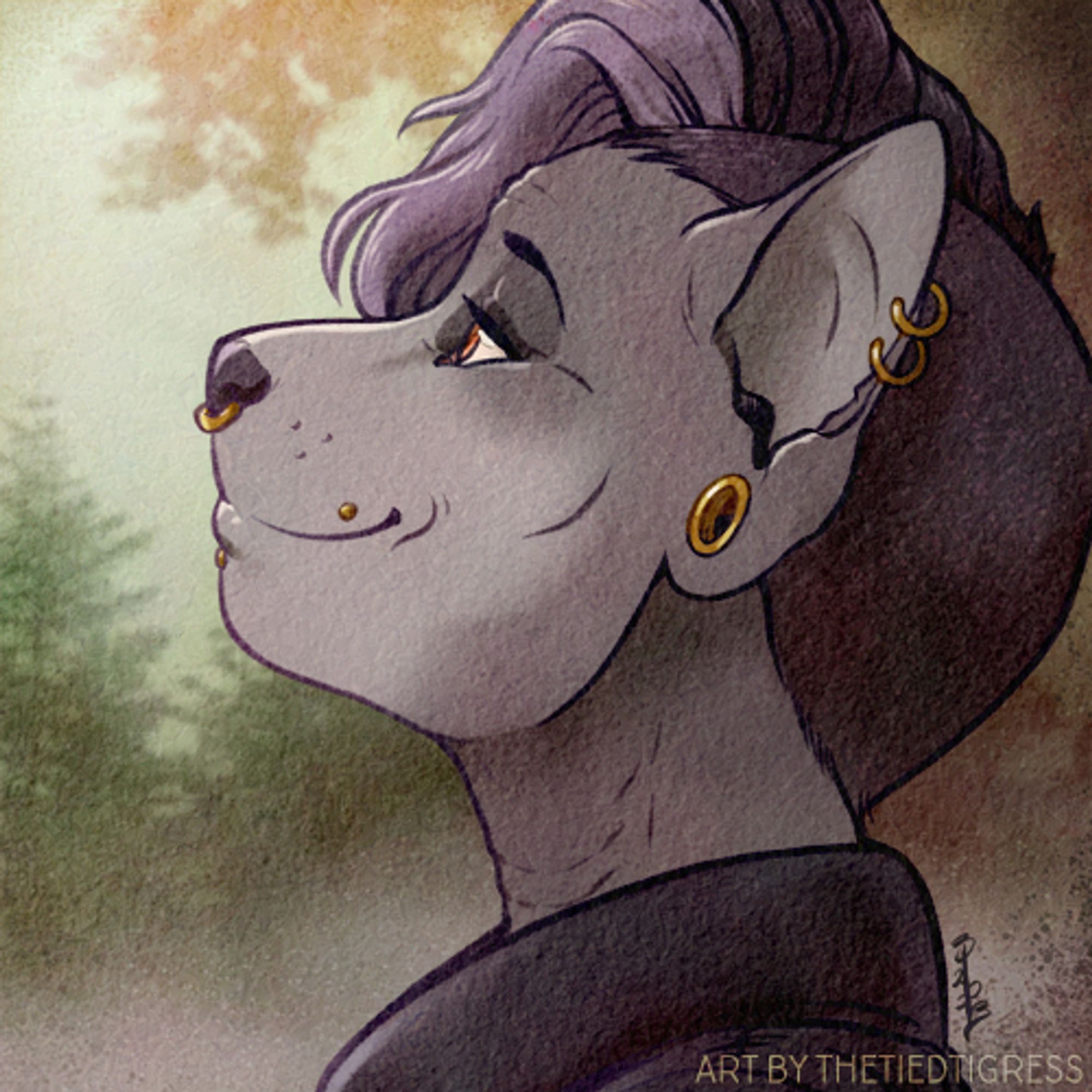 A grey cat with a side cut in profile view with a misty forest behind