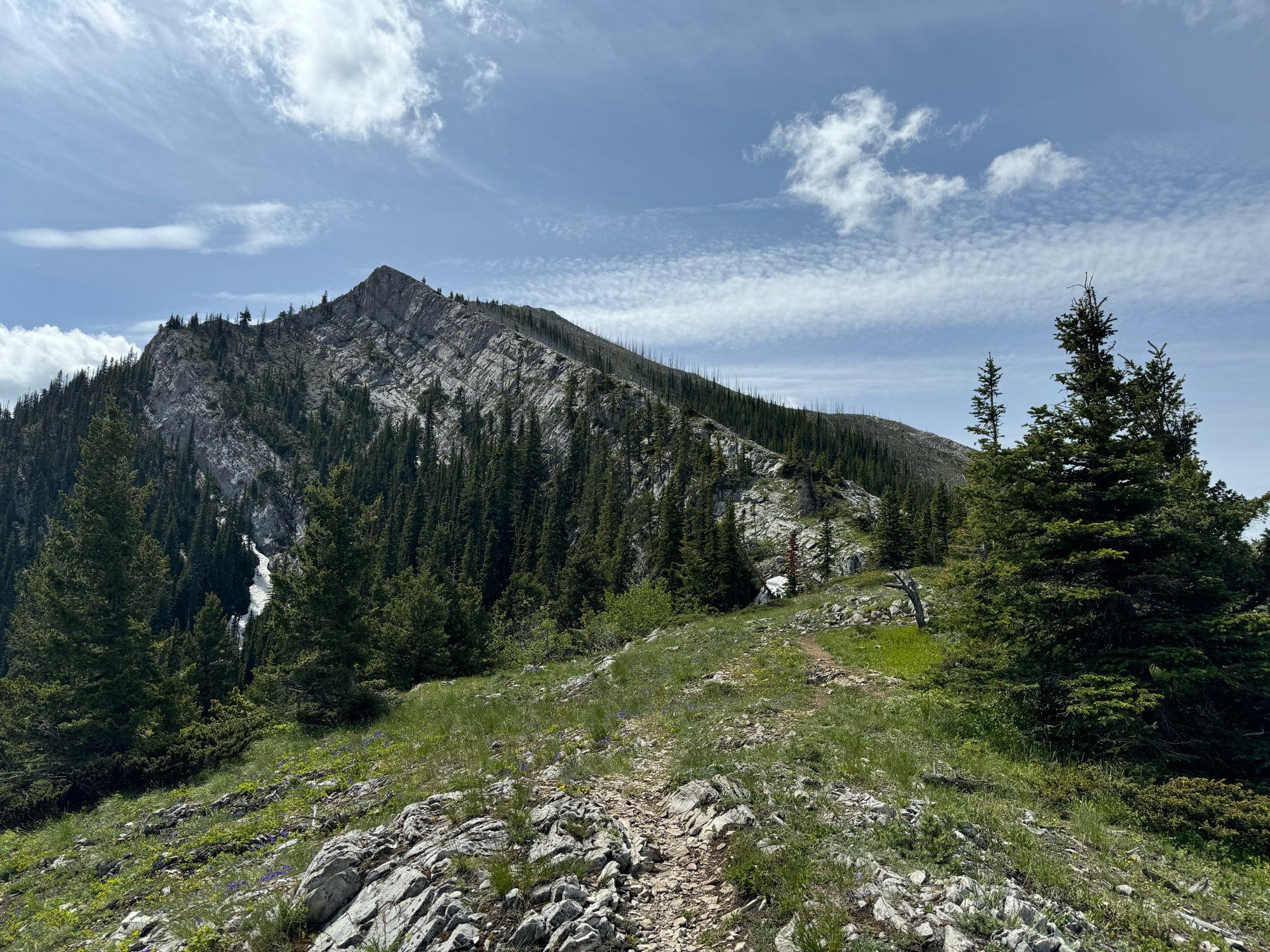 View of the north peak of Turtle Mountain in the Crowsnest Pass region of Alberta