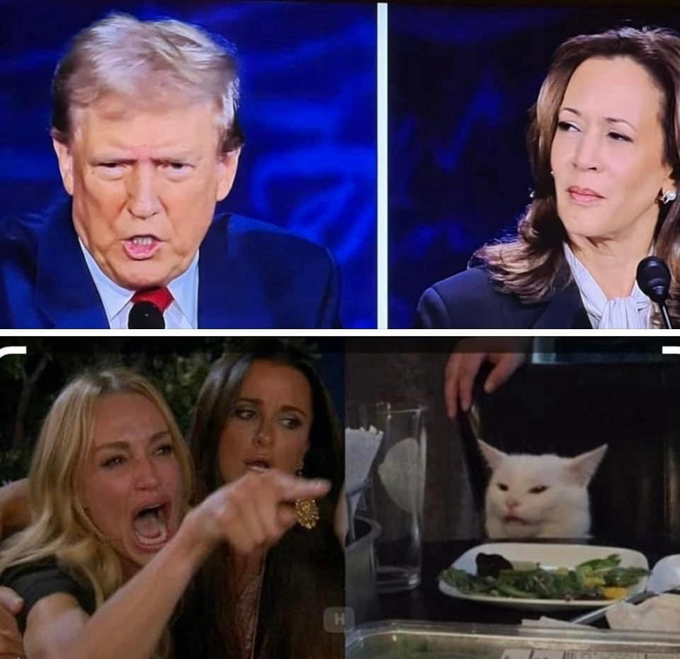 Upper Left: Donald Trump scowling and probably yelling about immigration or something, 

Upper Right: Kamala Harris, looking confused and wondering what he’s blabbering about.

Lower Half: the woman yelling at the cat meme.