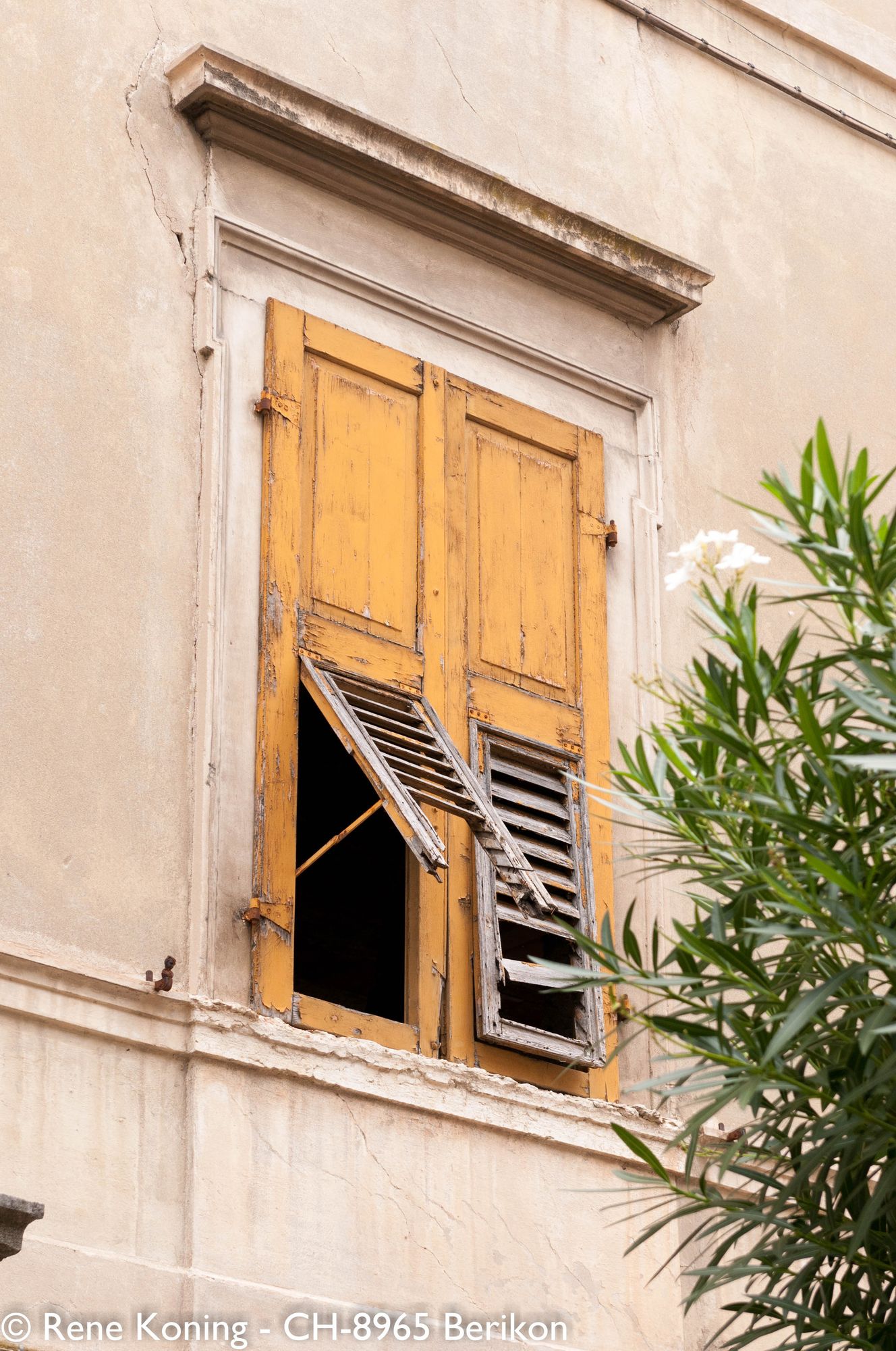 Ein Fenster in einer hellen Fassade gefasst. Der Rest vom Haus sieht man nicht.
Das Glas ist raus und man sieht nur noch die Holzblenden. Beide untere hälften dieser beiden Blenden sehen sehr vergammelt aus, einer ragt halb aus der Fassade heraus und es fehlen einzelne lammellen. Rechtsunten im Bild sind noch ein paar Zweige eines Baumes erkennbar