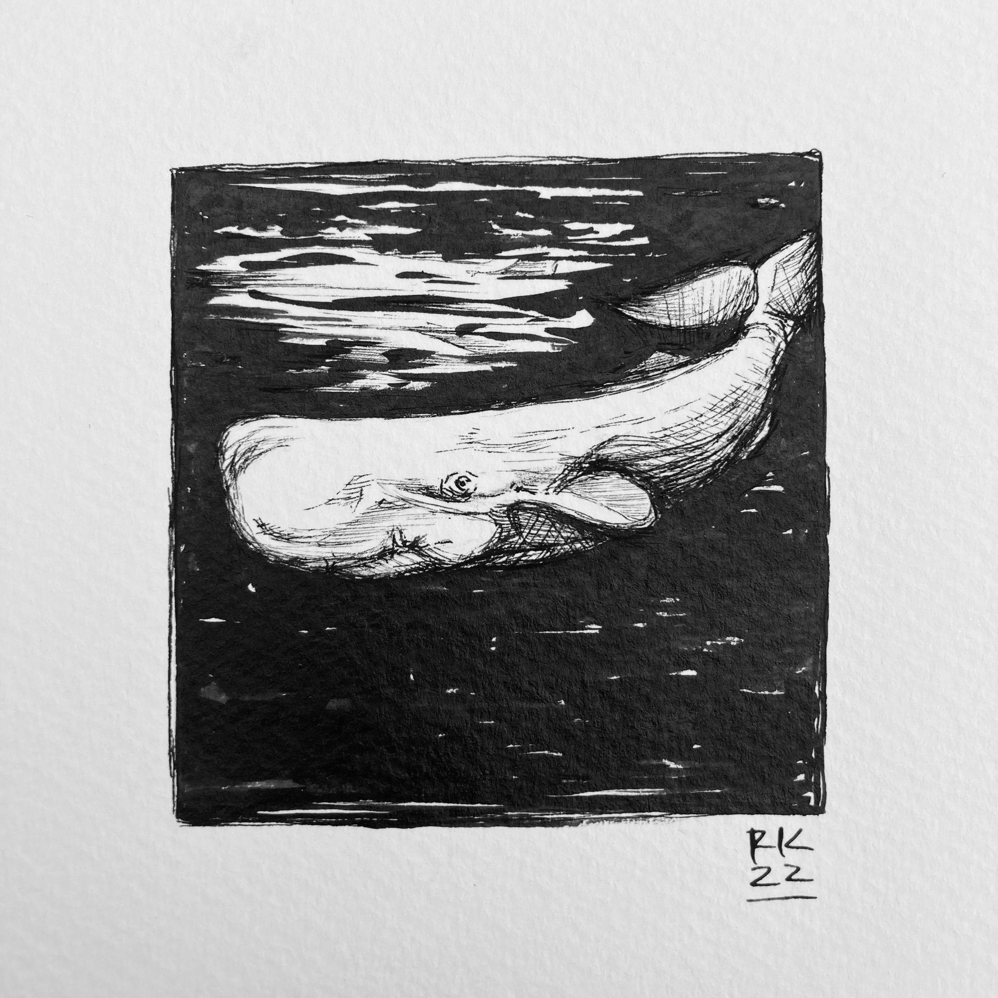 an ink drawing of a sperm whale with pen and brush, gentle and rough at the same time