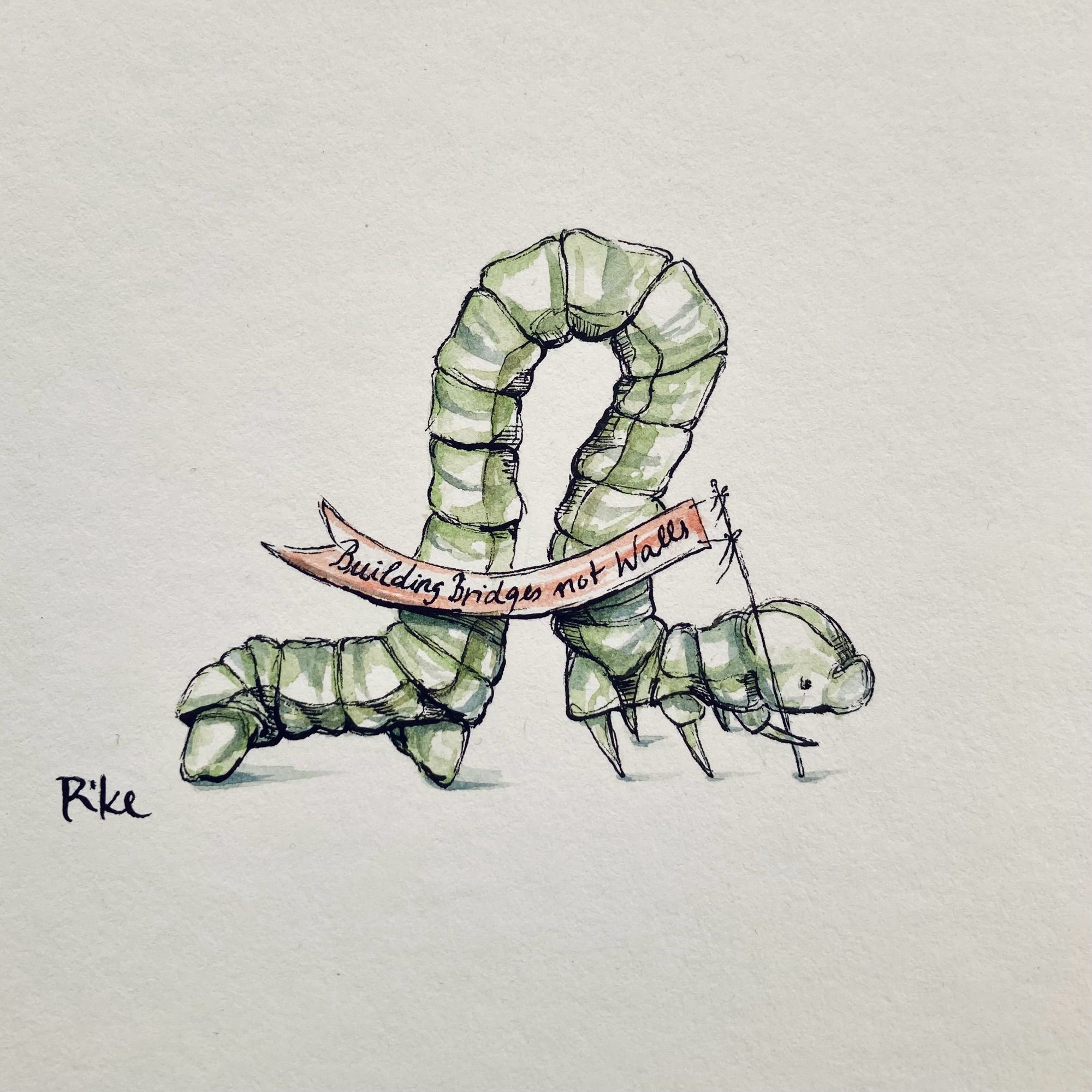 an aquarell ink drawing of a green inchworm, building a bridge with its body and holding a flag on which *building bridges not walls* is written