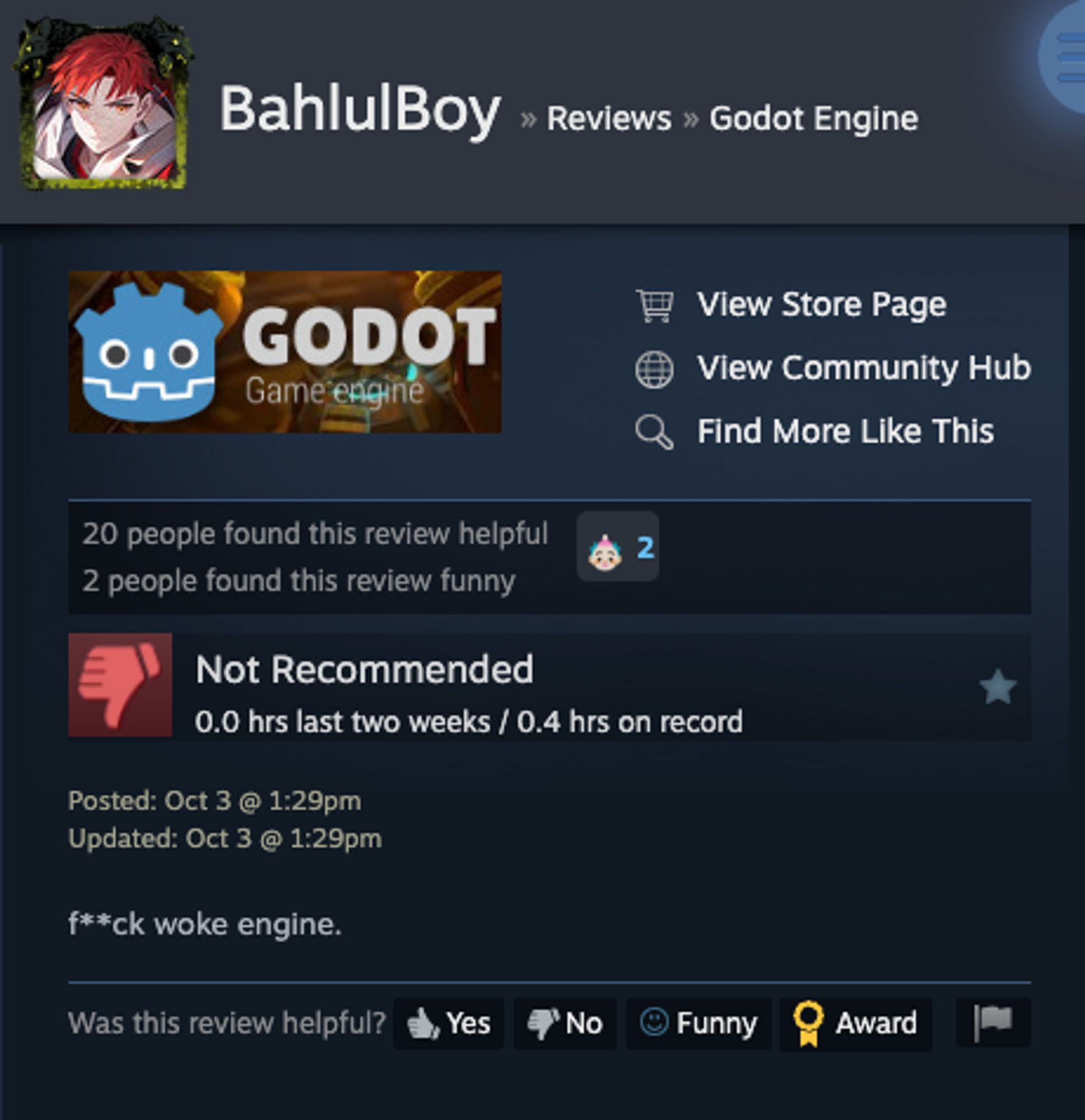 A negative review from BahlulBoy for Godot Engine on Steam. They say "f**ck woke engine". 

This player has 0.4 hours on record according to steam. 