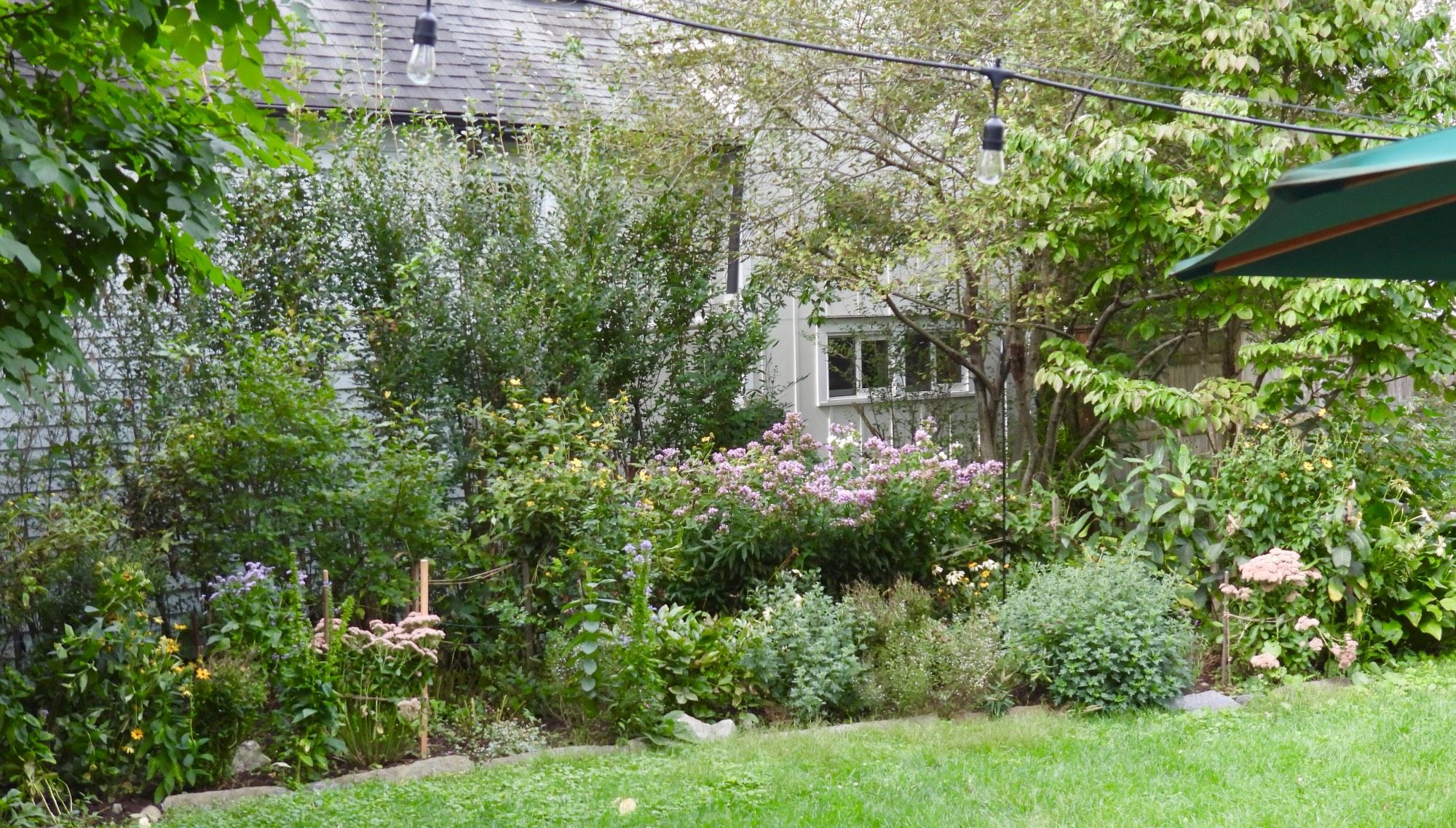 Overgrown, drab, end-of-summer backyard flower garden on a cloudy day.