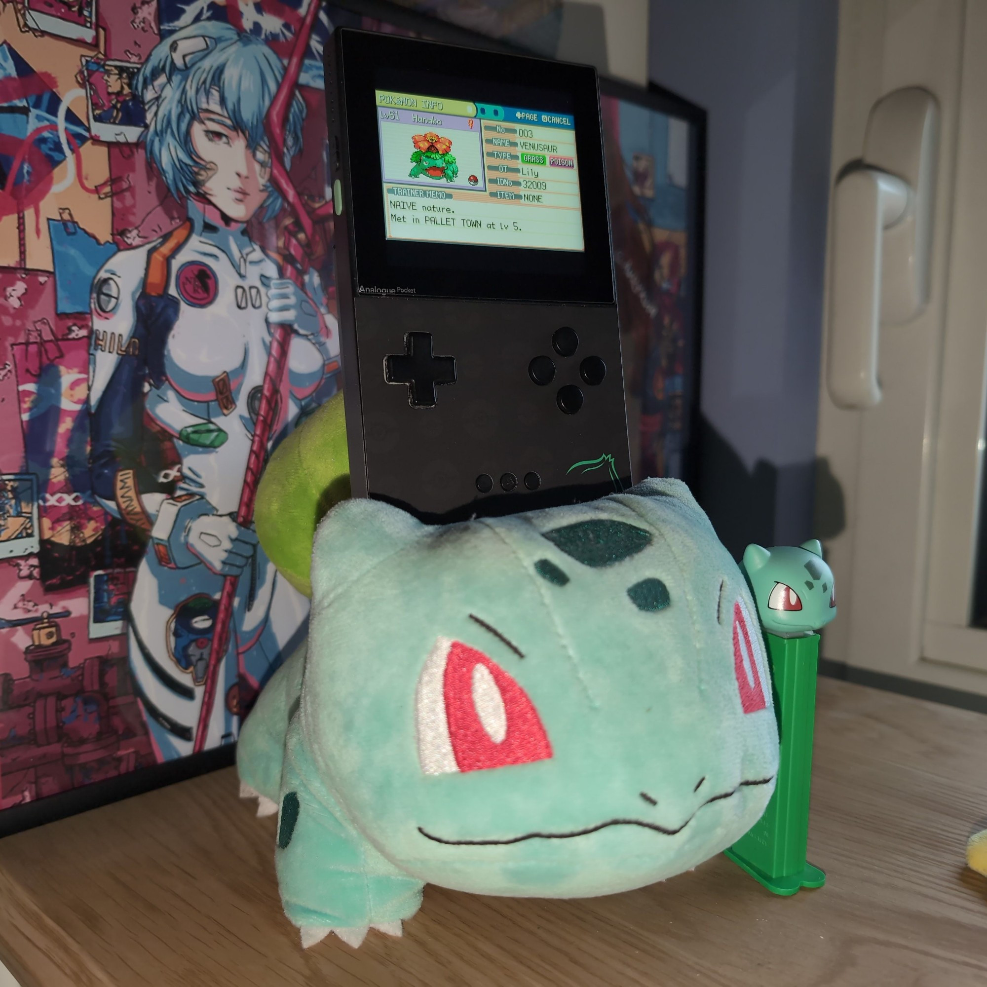 Our bulbaboy with our bulbaconsole playing the game the former bulbasaur also pez 