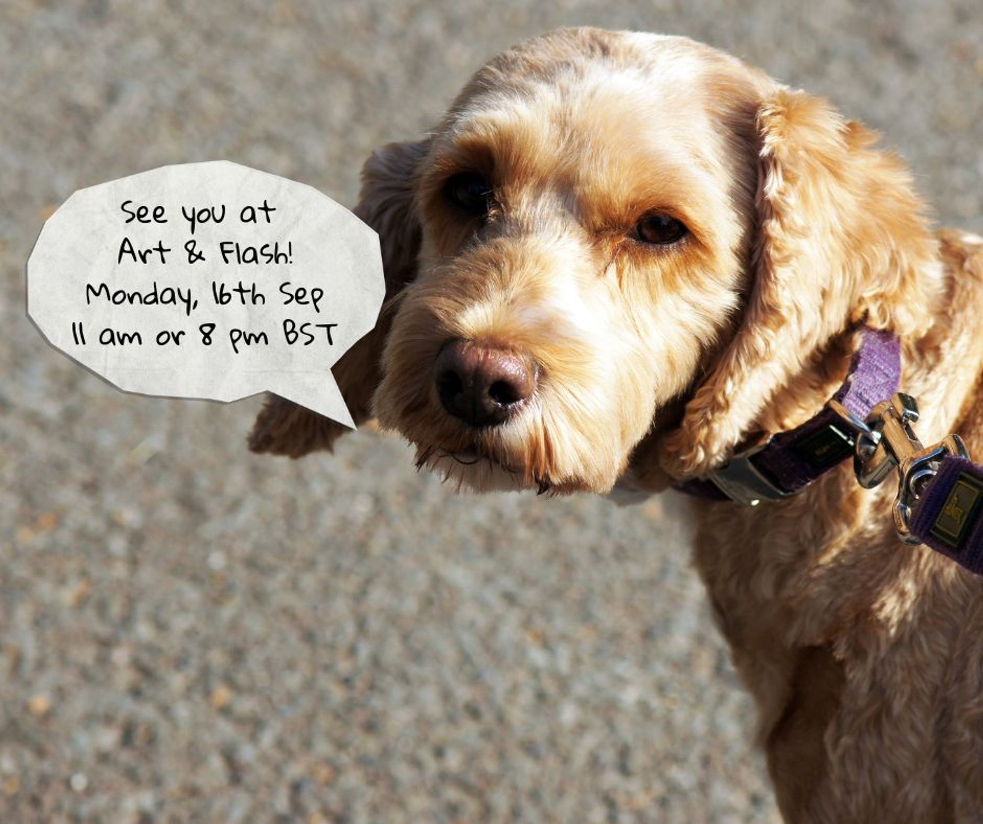 Photo of a dog with a speech bubble saying 'See you at Art & Flash, Monday 16th September. 11 am or 8 pm BST