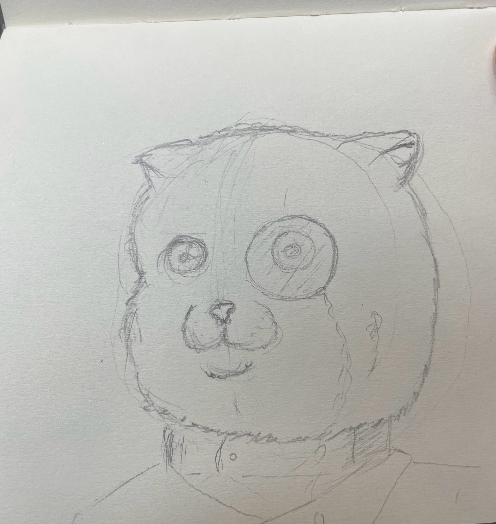 Anthropomorphized sketch portrait of a chubby cat with a high collar and monocle. 