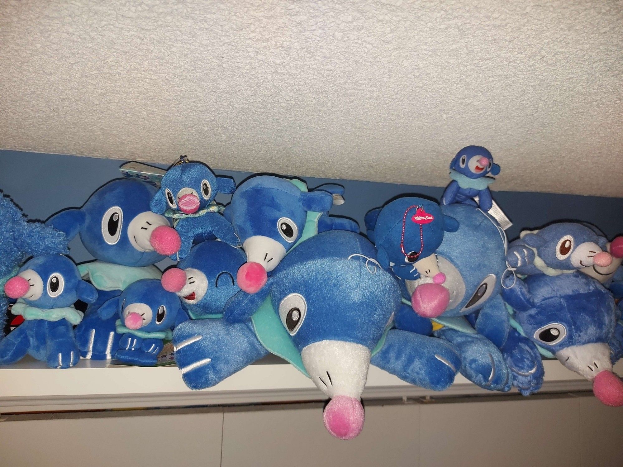 A white shelf over a closet door on a blue painted wall. The shelf is full of pokemon (Popplio) plushies. This photo is a close up of part of the shelf.