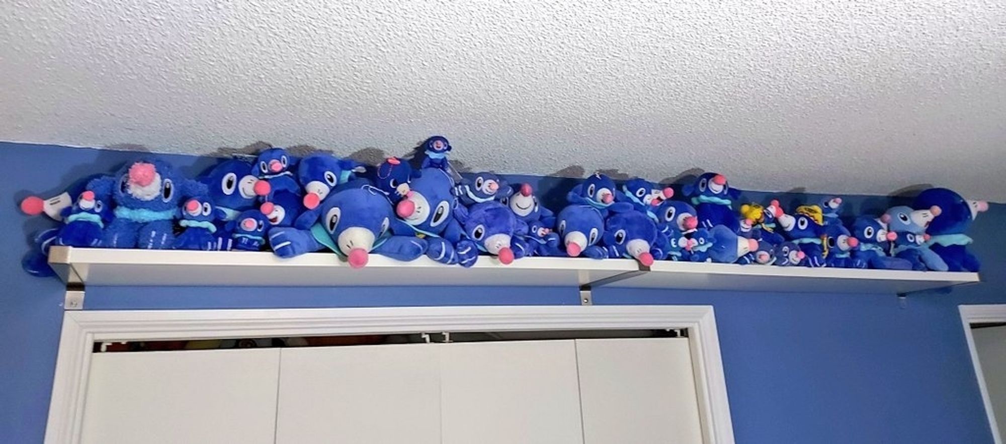 A white shelf over a closet door on a blue painted wall. The shelf is full of pokemon (Popplio) plushies. This photo shows the whole shelf.