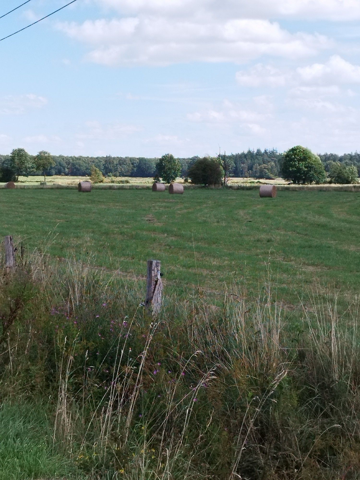 Zu sehen Wiesenfläche mit Heuballen. Im Hintergrund der Waldrand.