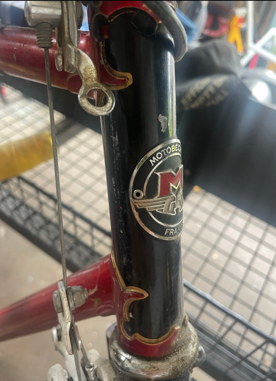 Closeup of head tube and lugs