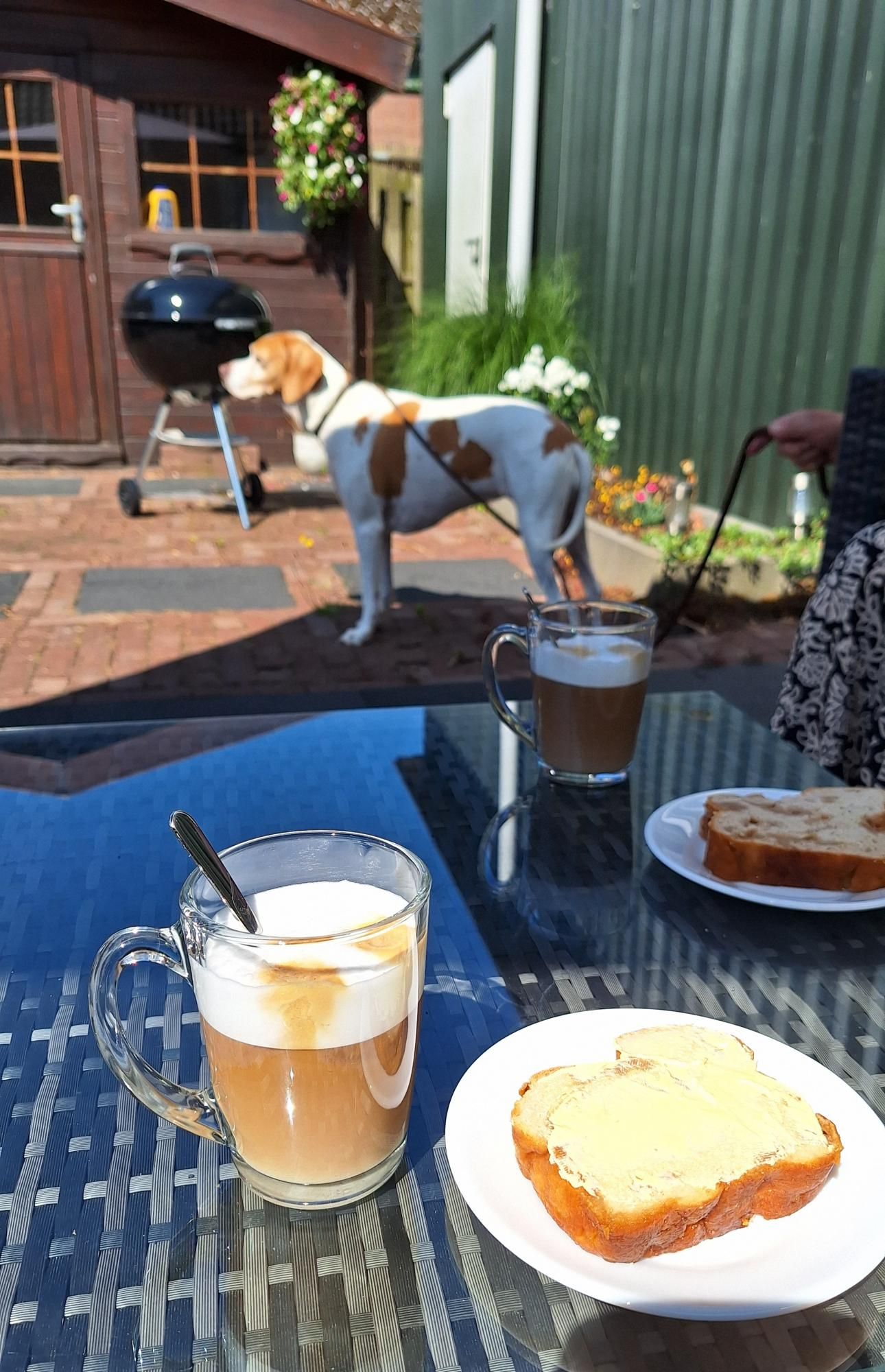 Op de voorgrond een tafel in de tuin met daarop 2 glazen cappuccino en 2 bordjes met een snee suikerbrood. Op de achtergrond staat Sacha, een barbecue en een tuinhuisje 