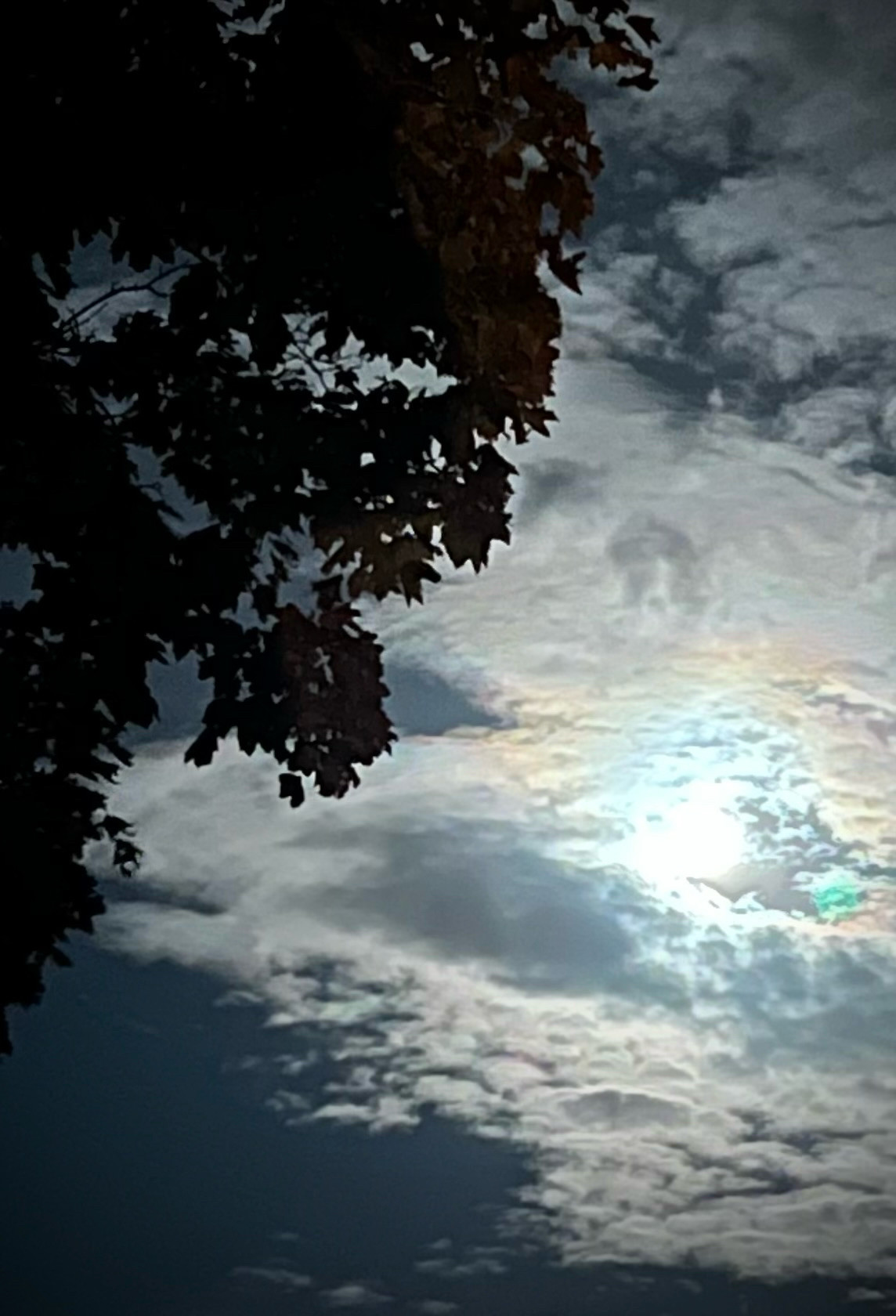 Licht des Mondes (rund um den Vollmond) hinter Wolkenfetzen hell leuchtend, davor Schatten eines Baumes.