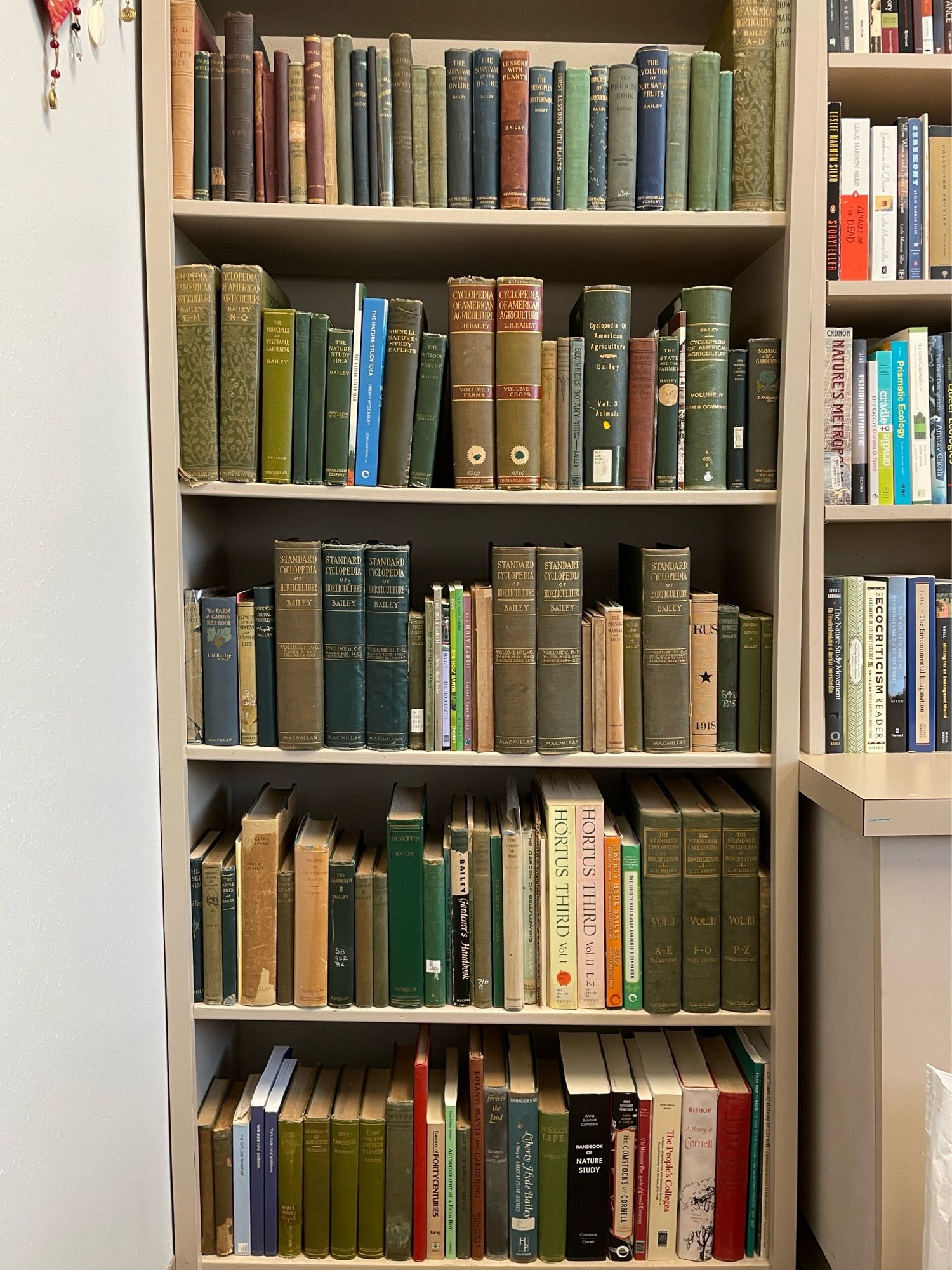 Massive shelfie