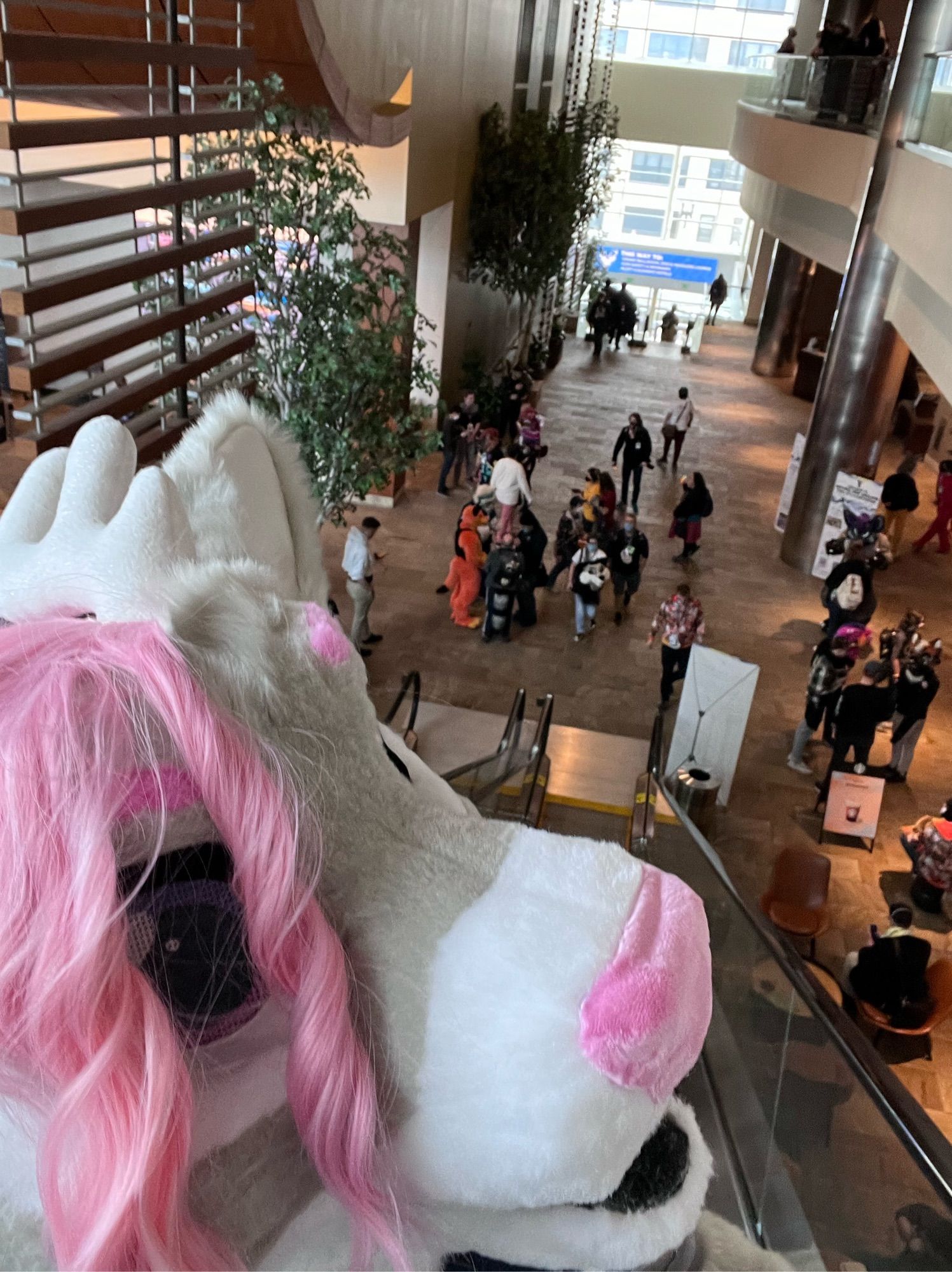 Lysbeth looking down the escalator at ANE