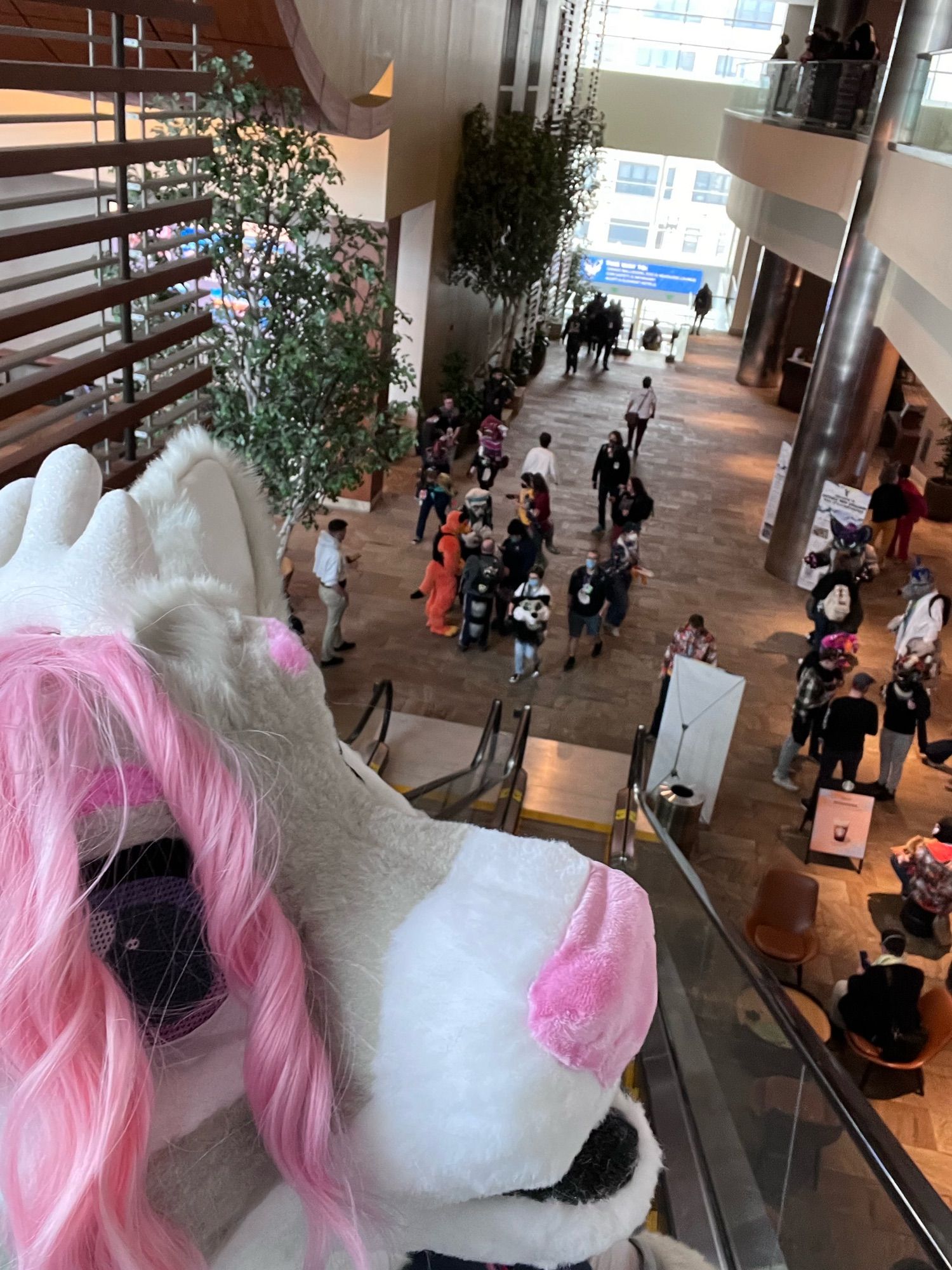 Going down the elevator at ANE checking out the con on Friday.