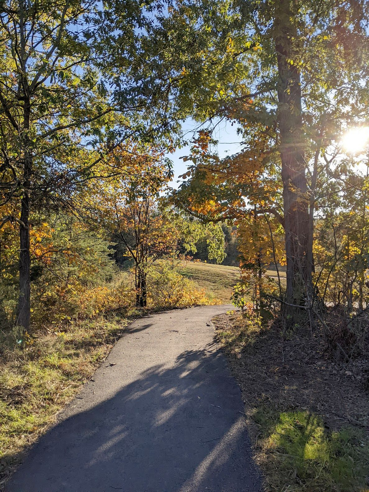 A paved walking path leading around a bend through the trees into a clearing. The sun is shining brightly through the leaves on the far right, casing long shadows on the path, a strip of bright gold angled through the center towards the left.