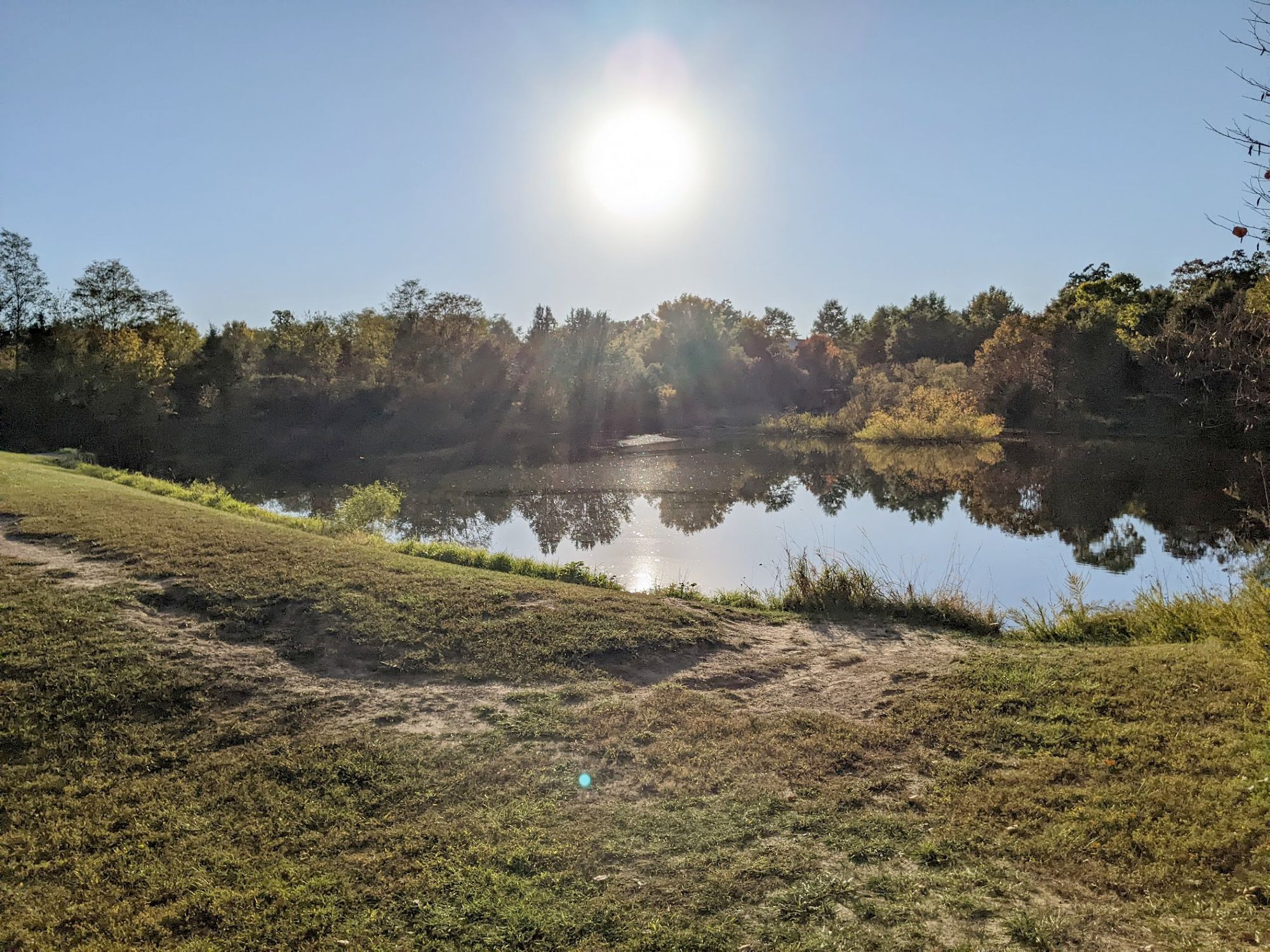 A sunlit knoll covered in short-cut grass lining a pond. The sun is shining brilliantly in the pale blue sky in the top center of the image. The top of the water has some algae and clear reflections of the trees lining the opposite side. The sun looks in this image exactly how it might feel on your face. The photographer can tell you the light of the sun was SEARING hot, but the air was temperate and cool. If you look closely, you can see a fucktillion midges are swarming the air thickly.