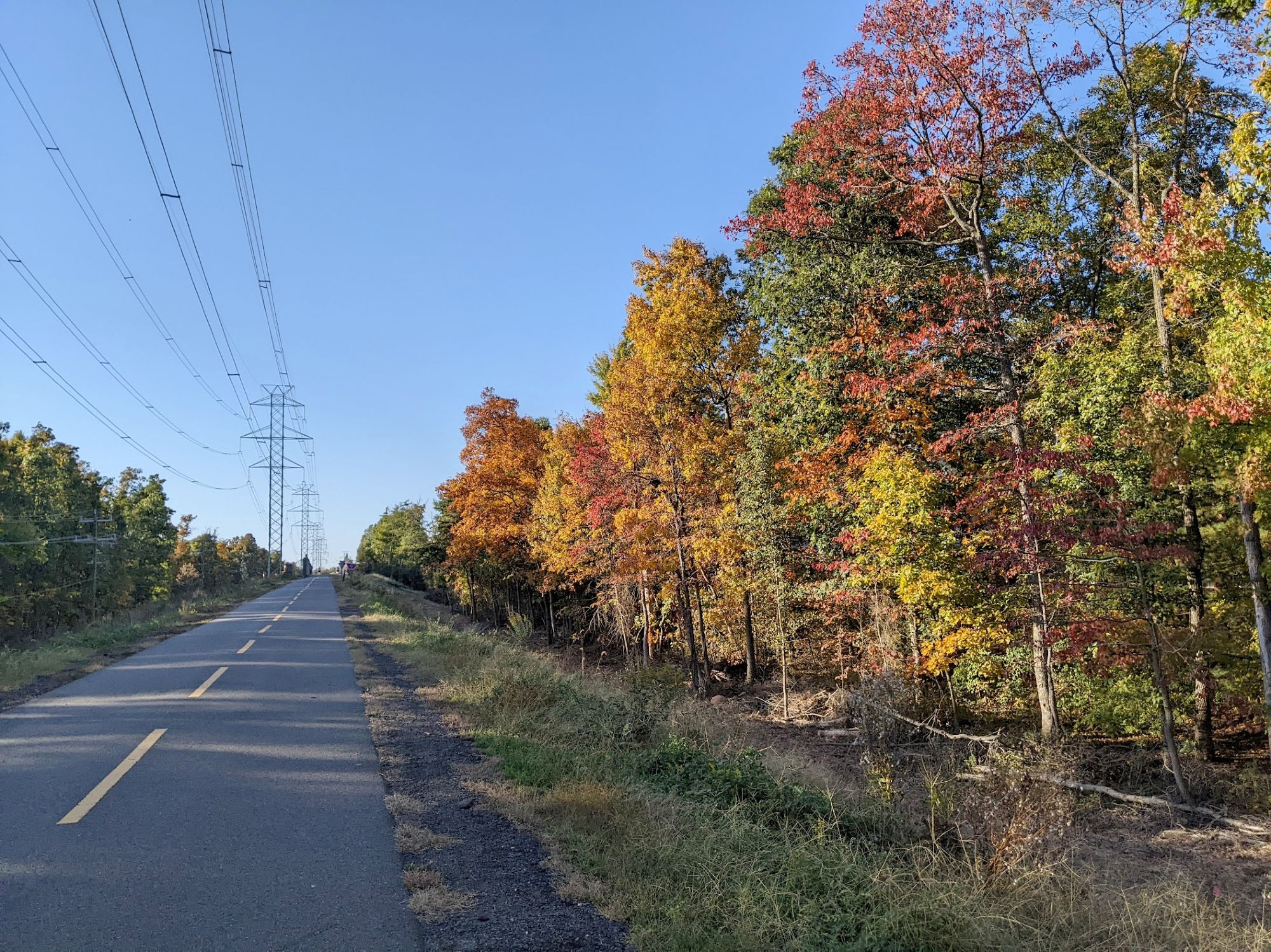 Photo of an autumn scene. There are power lines and a bike path on the left of a strip of grassy underbrush and a line of many-colored, tall trees on the right, set aglow by the low-lying sun offscreen. the sky is a perfect and clear bright blue.