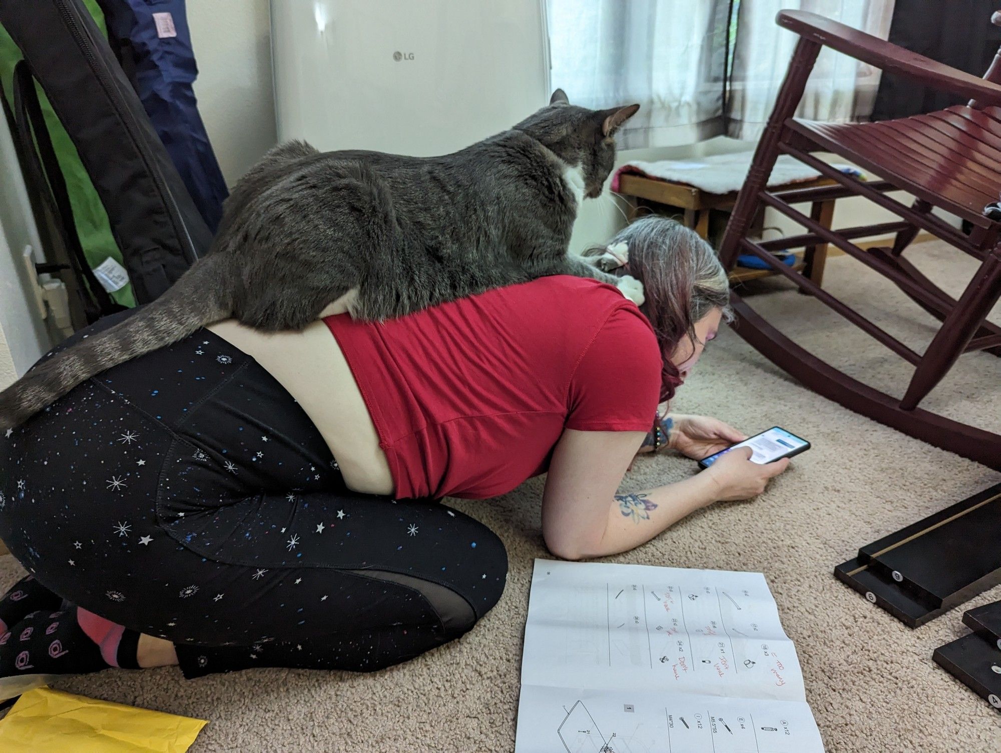 Meghan lies on the floor near a disassembled desk, looking at her phone. Ghost, a gray tabby cat, is laying on her back, also looking at her phone.