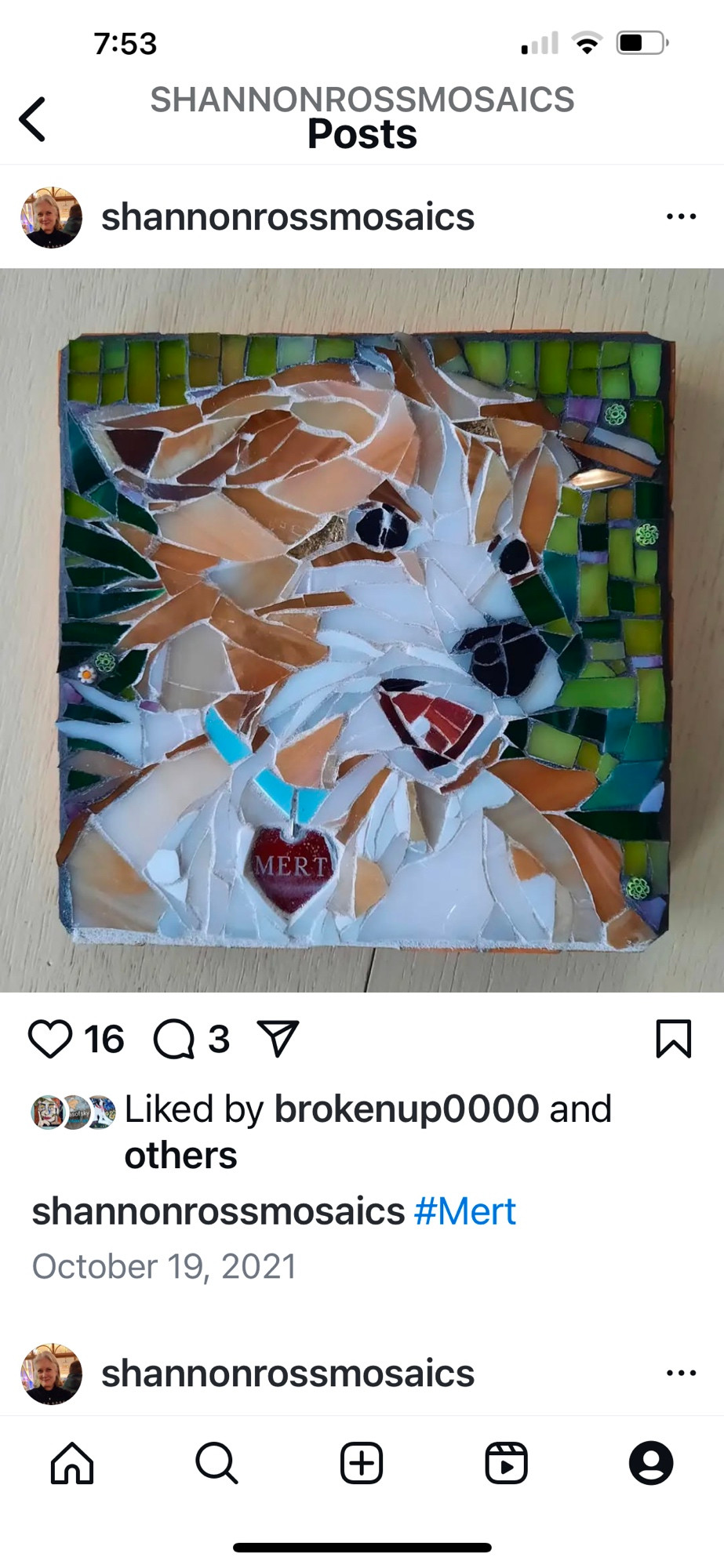 Mosaic pet portrait of my best dog ever.❤️