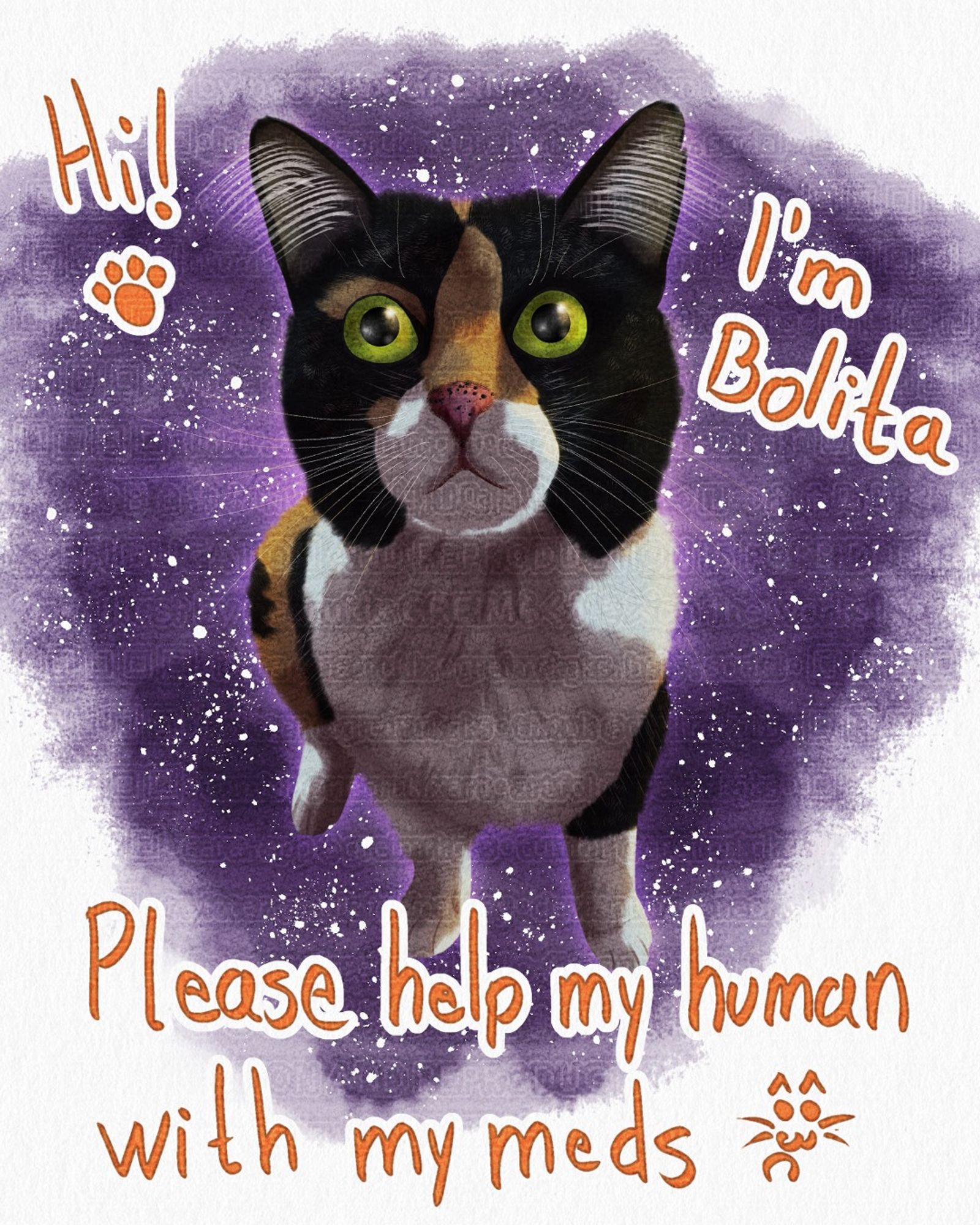 Digital #art illustration of my female tri-colored cat. Text reads as "Hi! I'm Bolita. Please help my human with my meds :3c"