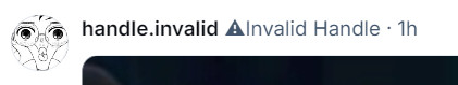 A screenshot of a user with a black and white profile picture, whose screen name is handle.invalid and whose username is ⚠Invalid Handle, due to the major influx of new people on Bsky. 