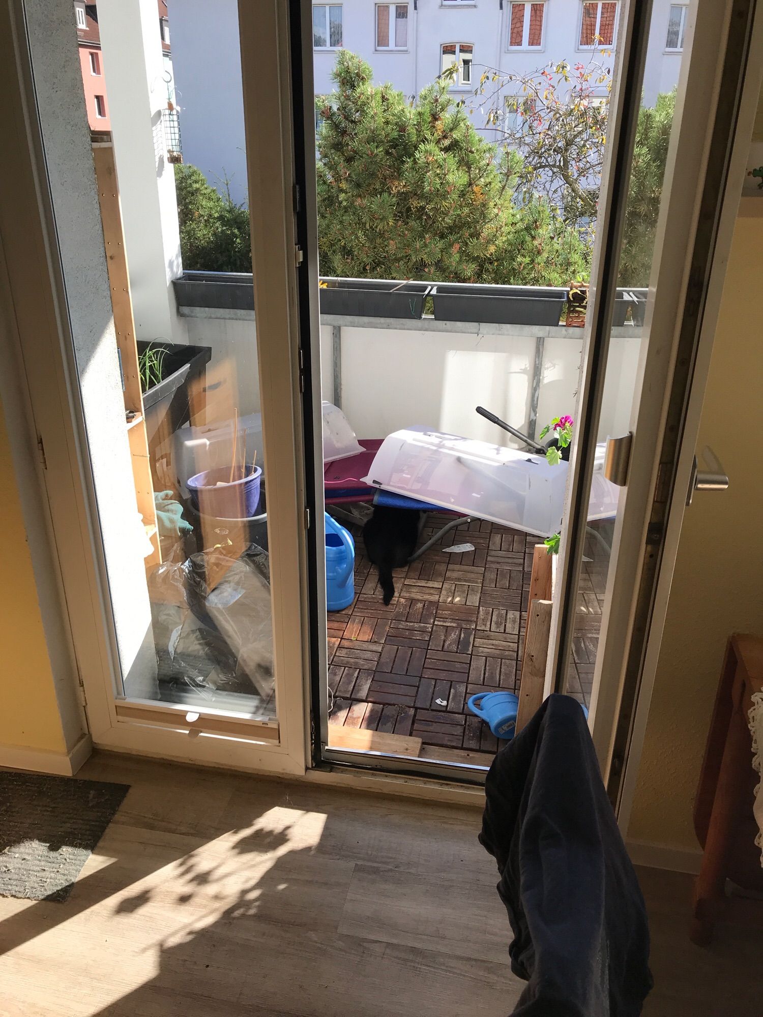 View out of the balcony door several pots to see and some parts of a cat