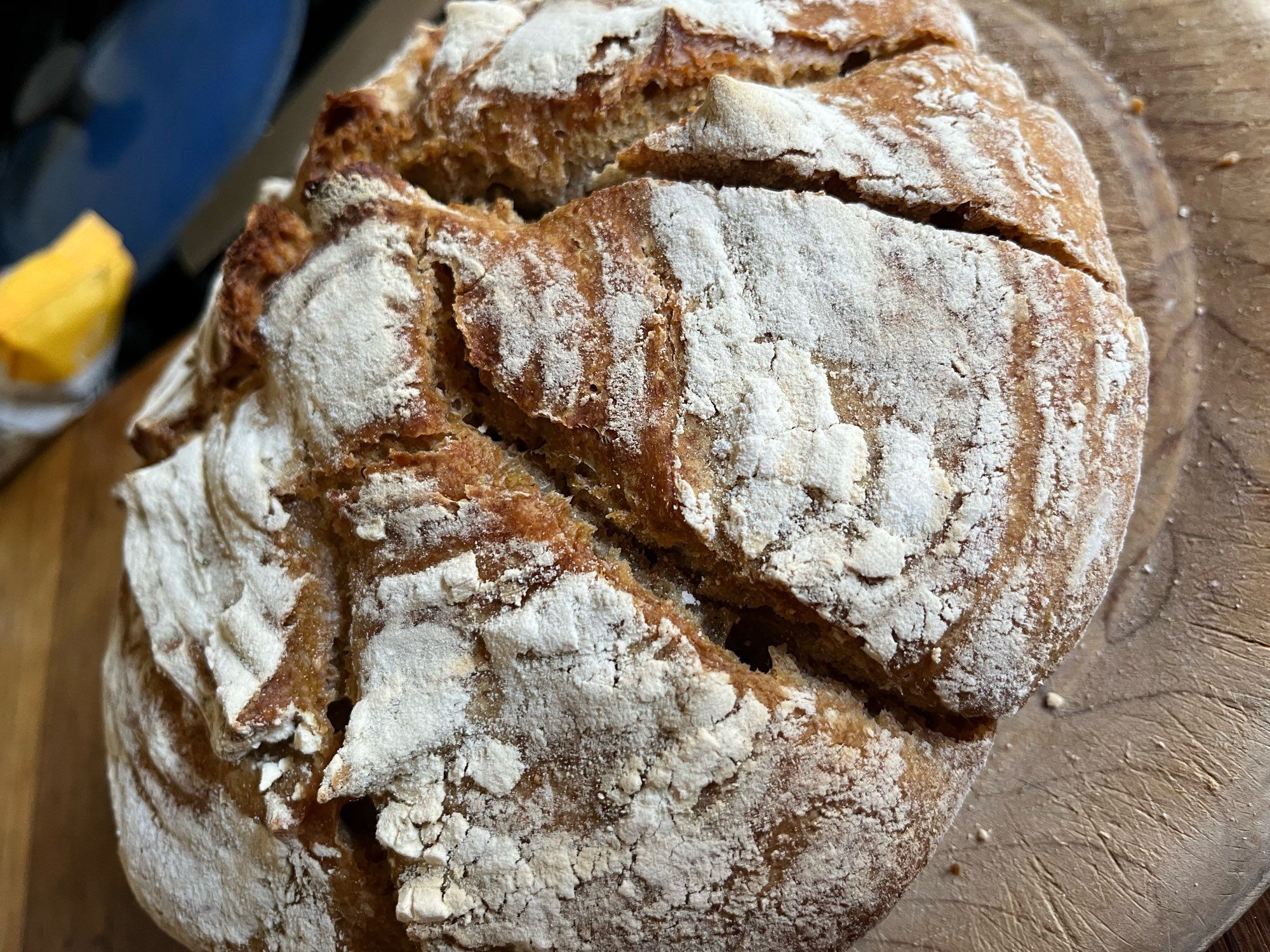 A crusty sourdough cob loaf with a floured  top & slashes in the crust.