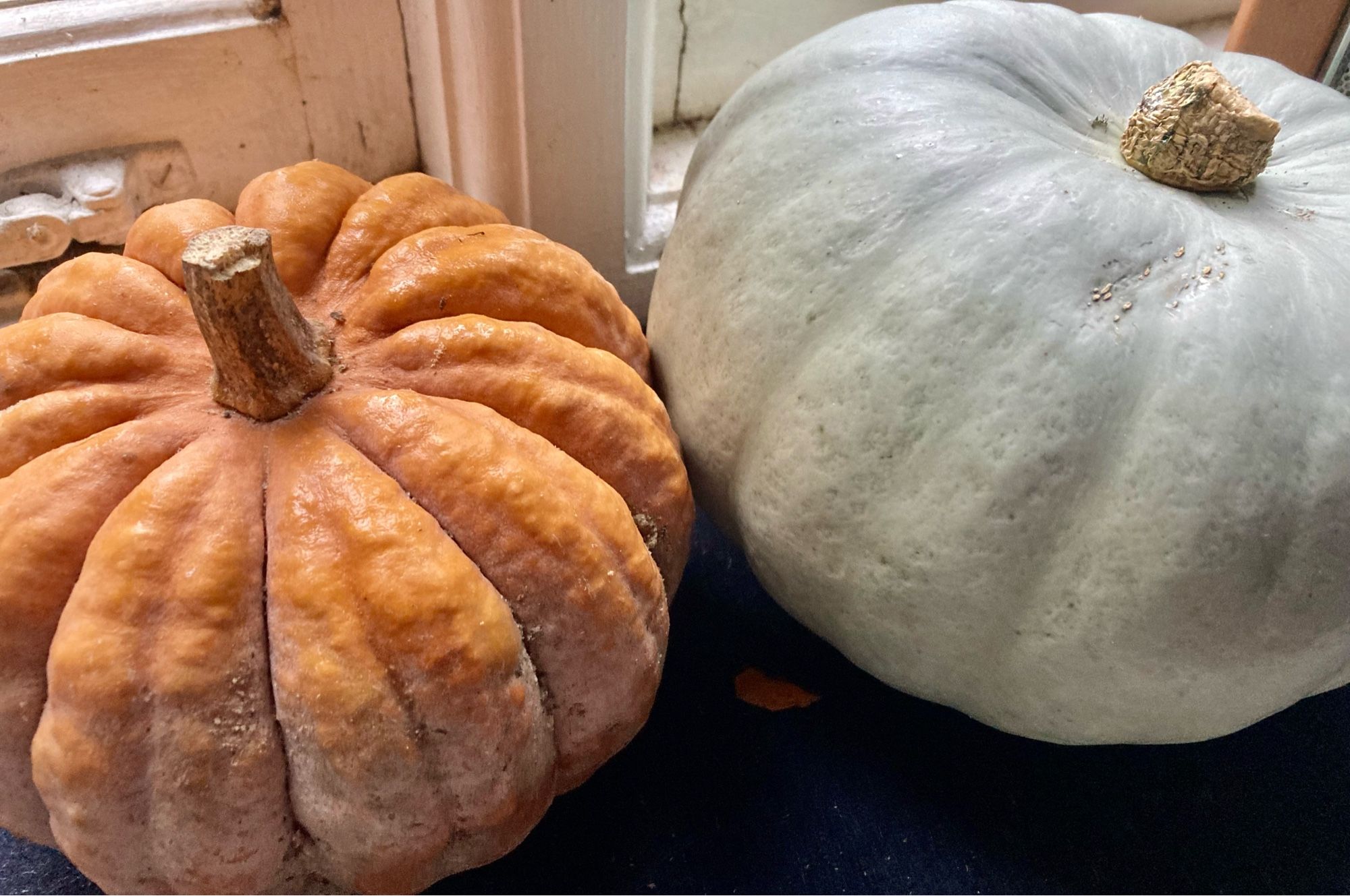 Close up of two pumpkins on a window sill. One is a blue grey Crown Prince, hiding butter yellow flesh beneath its velvet smooth exterior. Can’t remember the other variety but it is a ribbed orange “classic” pumpkin, with knobbly rind. Orange interior.