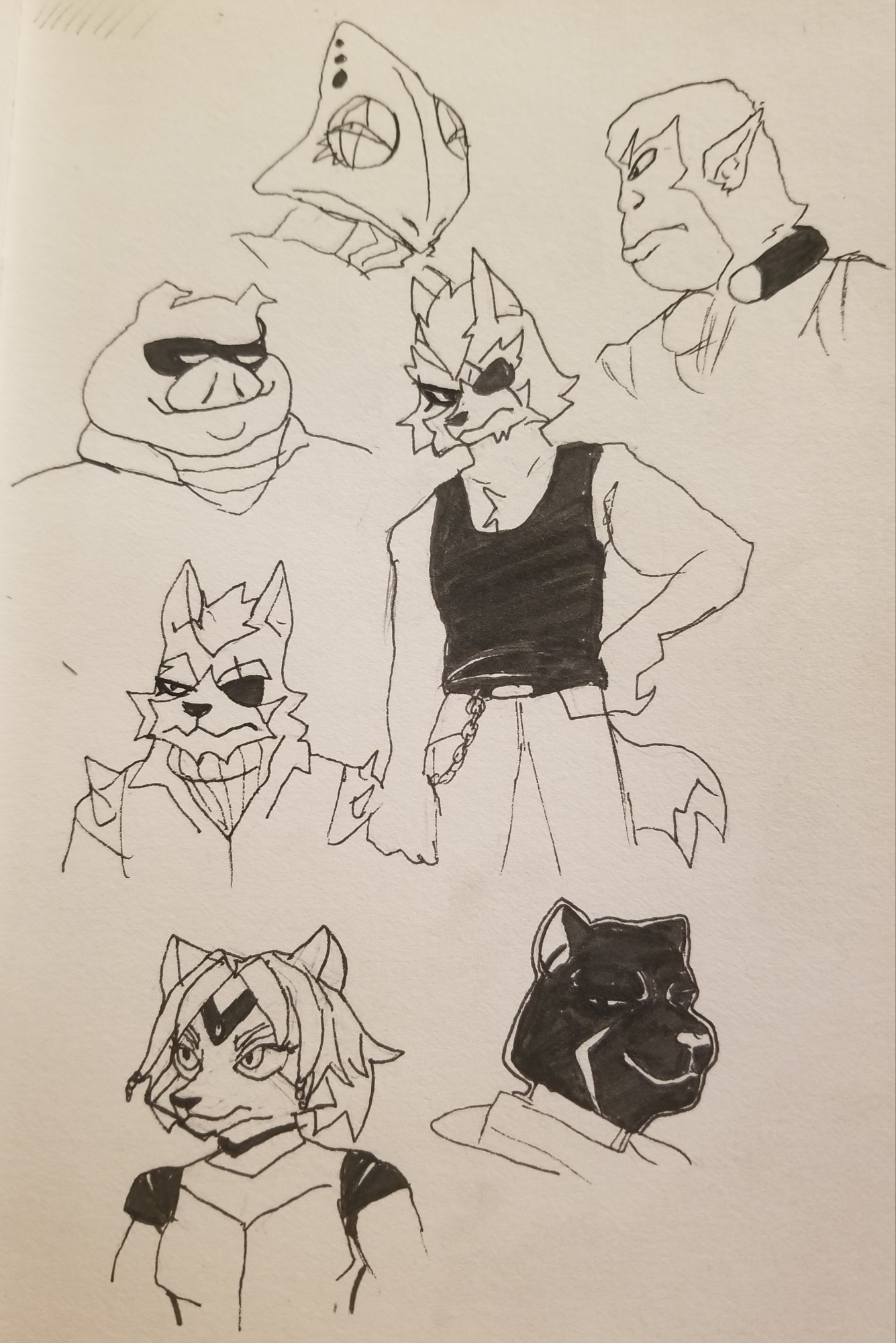 A photo of a sketchbook page with various doodles of the members of Star Wolf from the Star Fox franchise. 