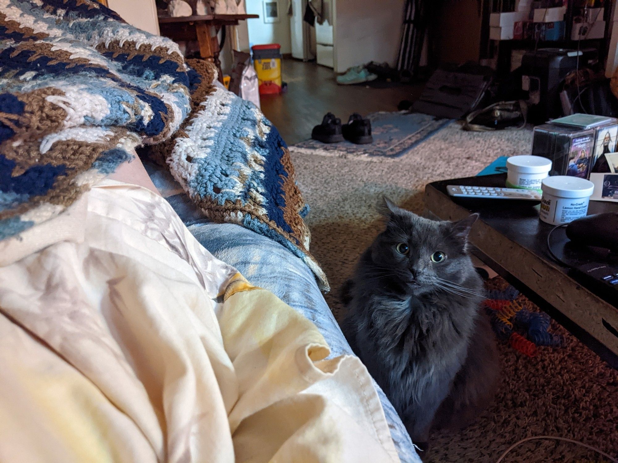 A point-of-view photograph, I'm laying on the couch and my cat is staring at me because she's hungry and it's almost time for breakfast