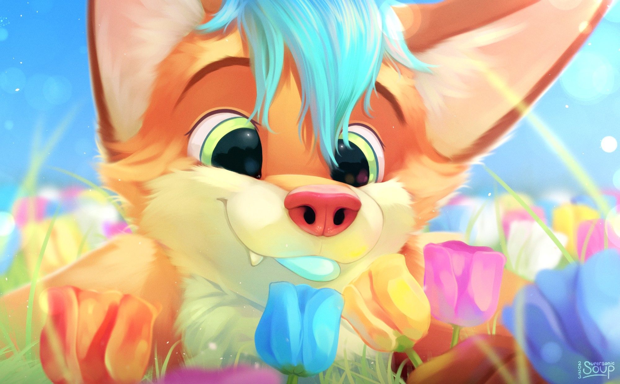 An orange fox lays on his front in a bright sunny field of tulip flowers. He is smiling happily at some brightly-colored blue, yellow and pink tulips in front of his face, which are reflecting their colors onto his muzzle.