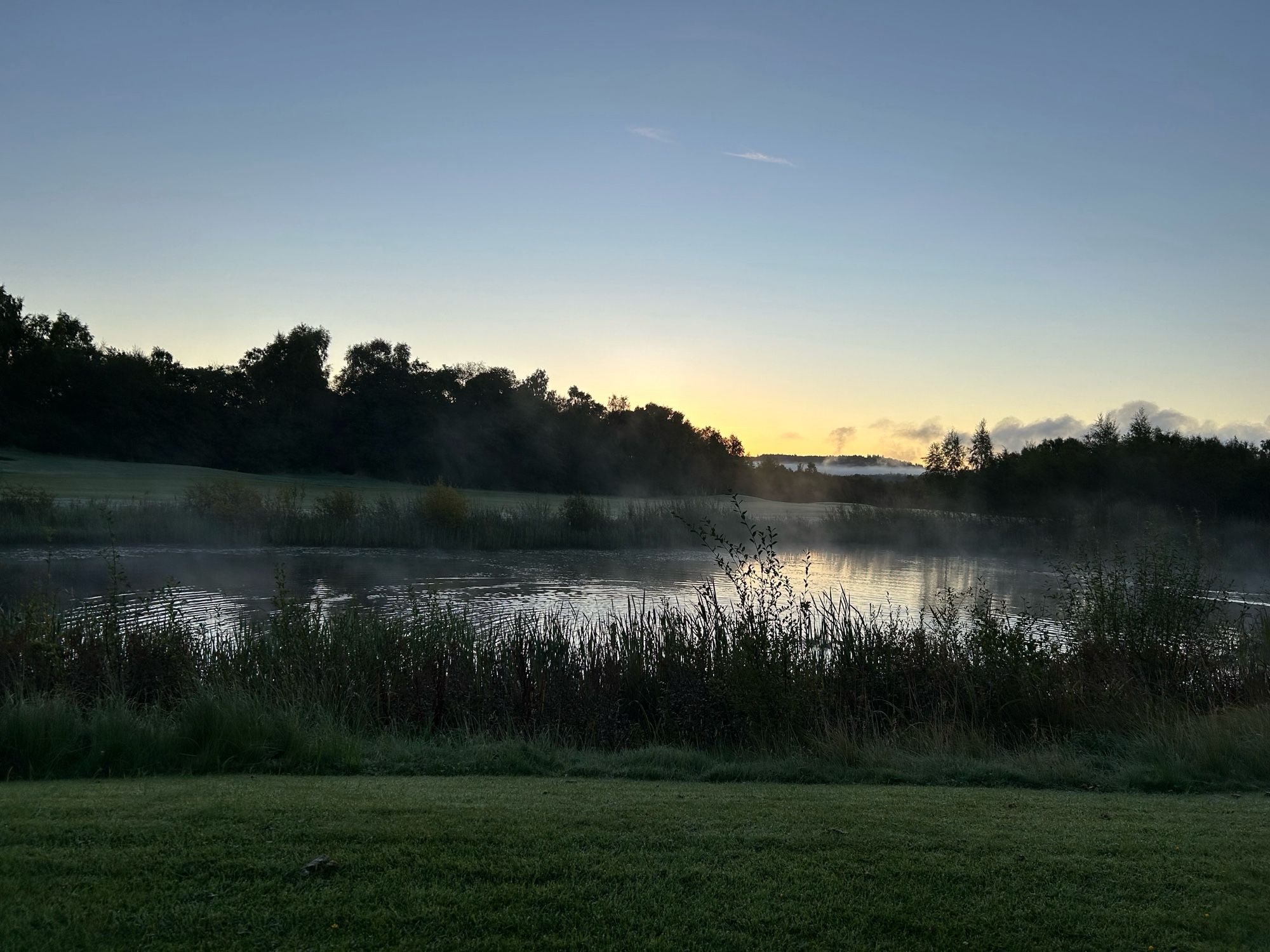 Pond at the Carrick on Loch Lomond - grass in foreground, long grass, water, trees other side and fog over loch with hills in background