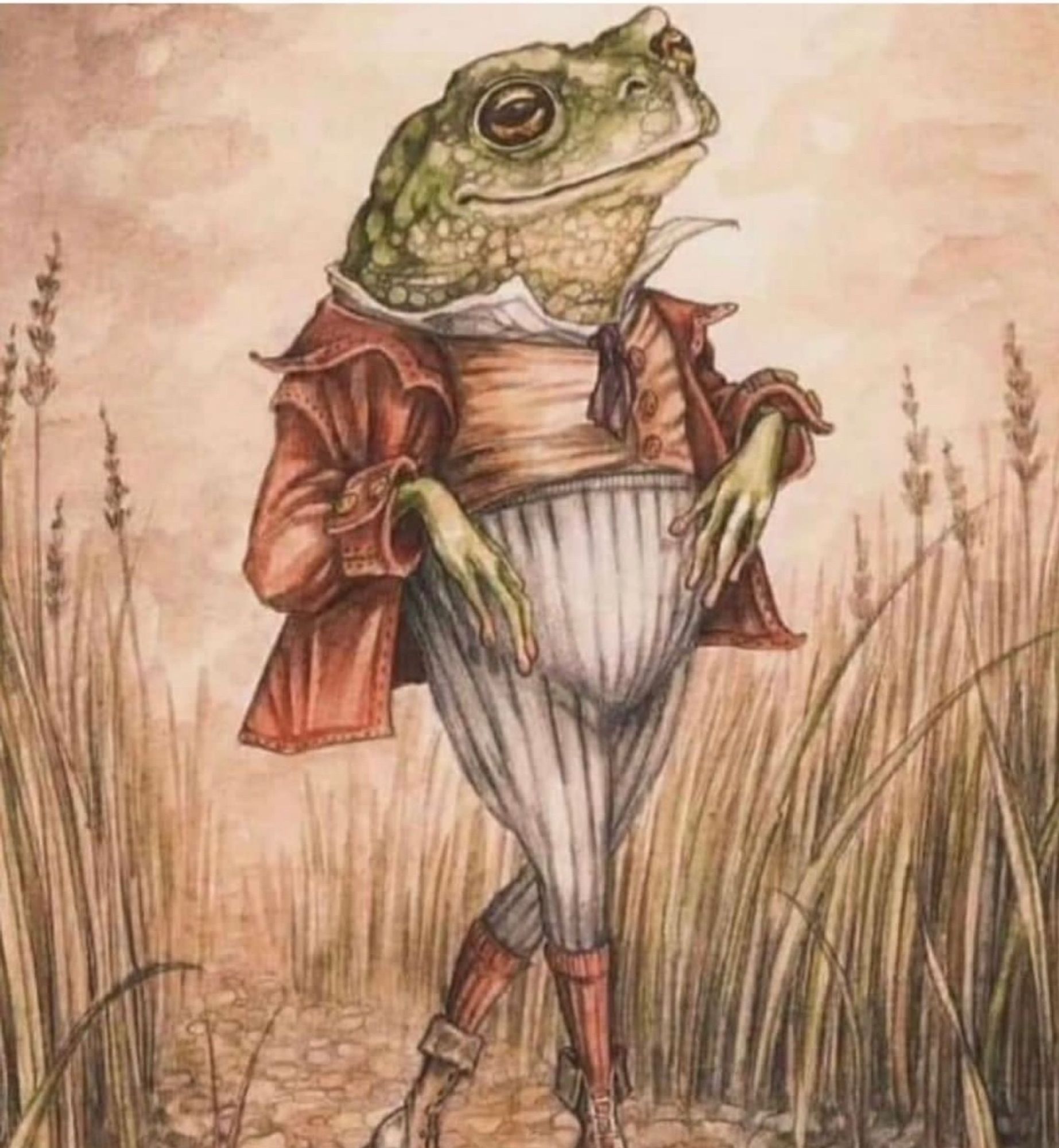 Illustration of a Dandy frog