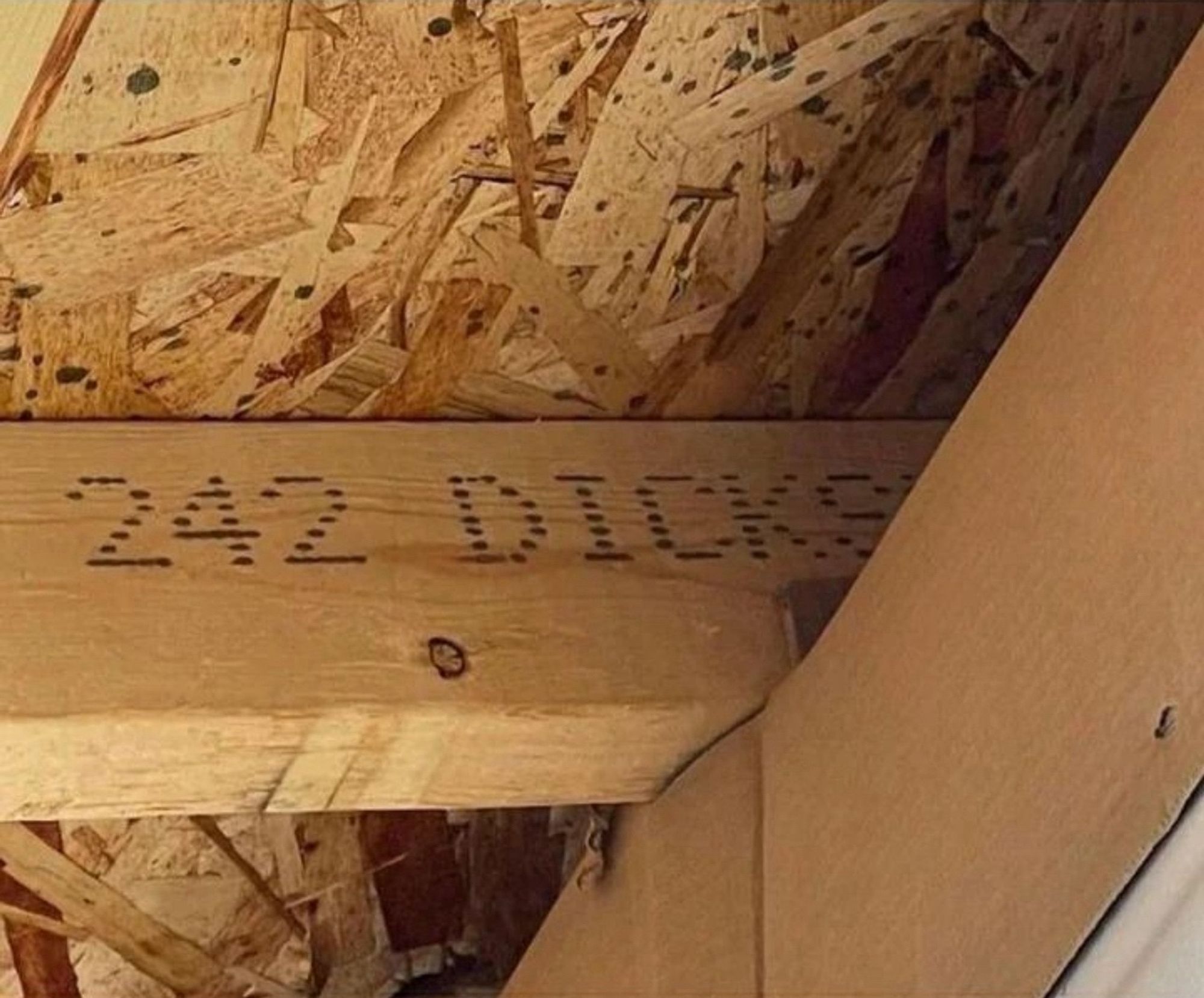 a wood beam in a ceiling that has “242 dicks” printed on it