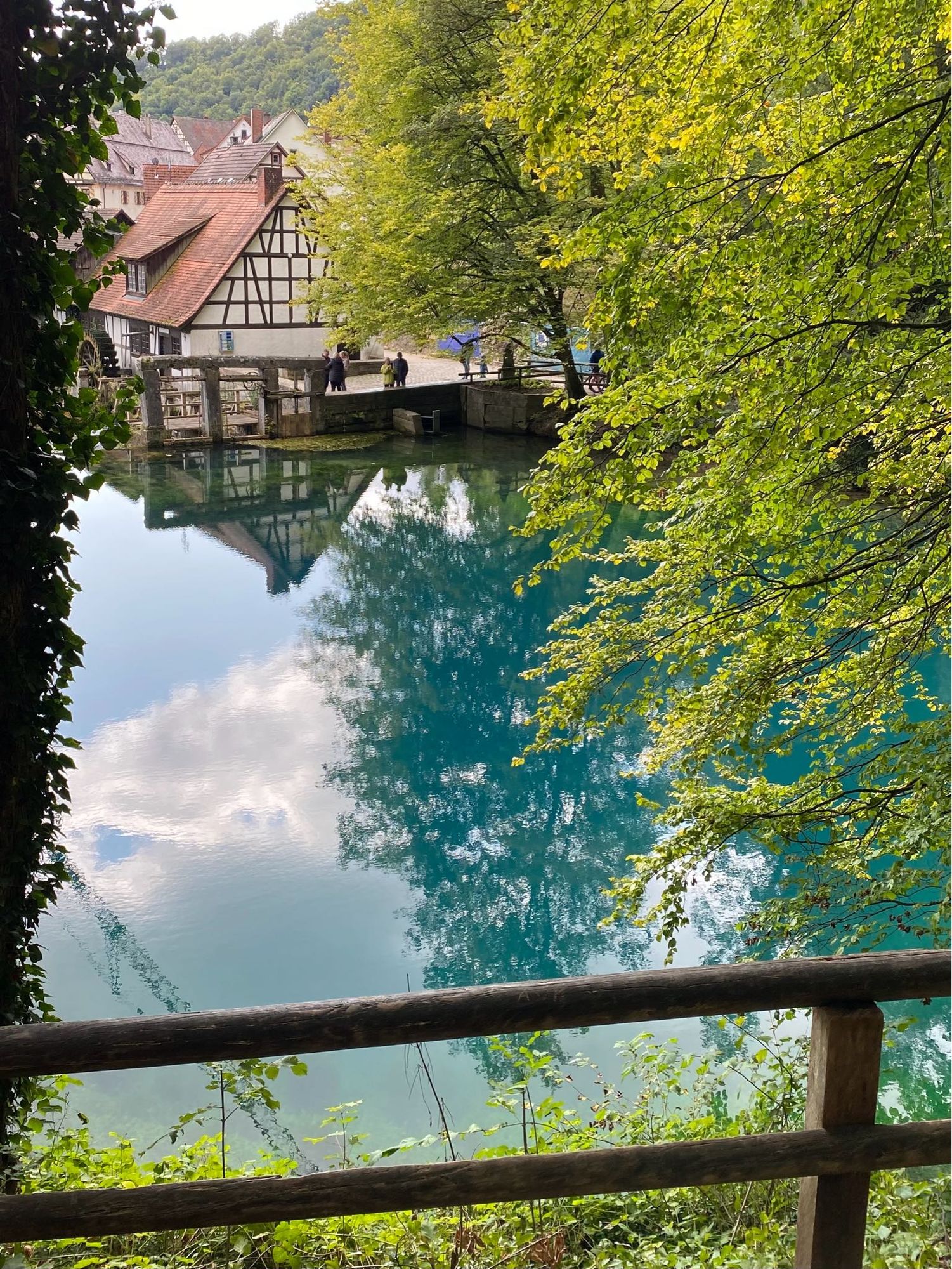 Teich mit türkisblauem Wasser. Im Vordergrund Holzgeländer. Am gegenüberliegenden Ufer Giebel eines Fachwerkhauses und ein Wehr aus Steinbalken, spiegeln sich im Wasser. Zweige von Laubbäumen hängen über das Wasser.