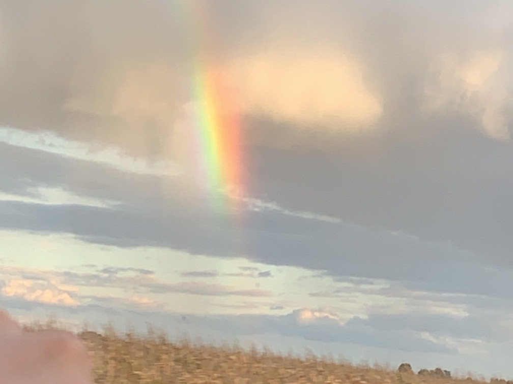 Top of a corn field, sky with clouds and a portion of rainbow