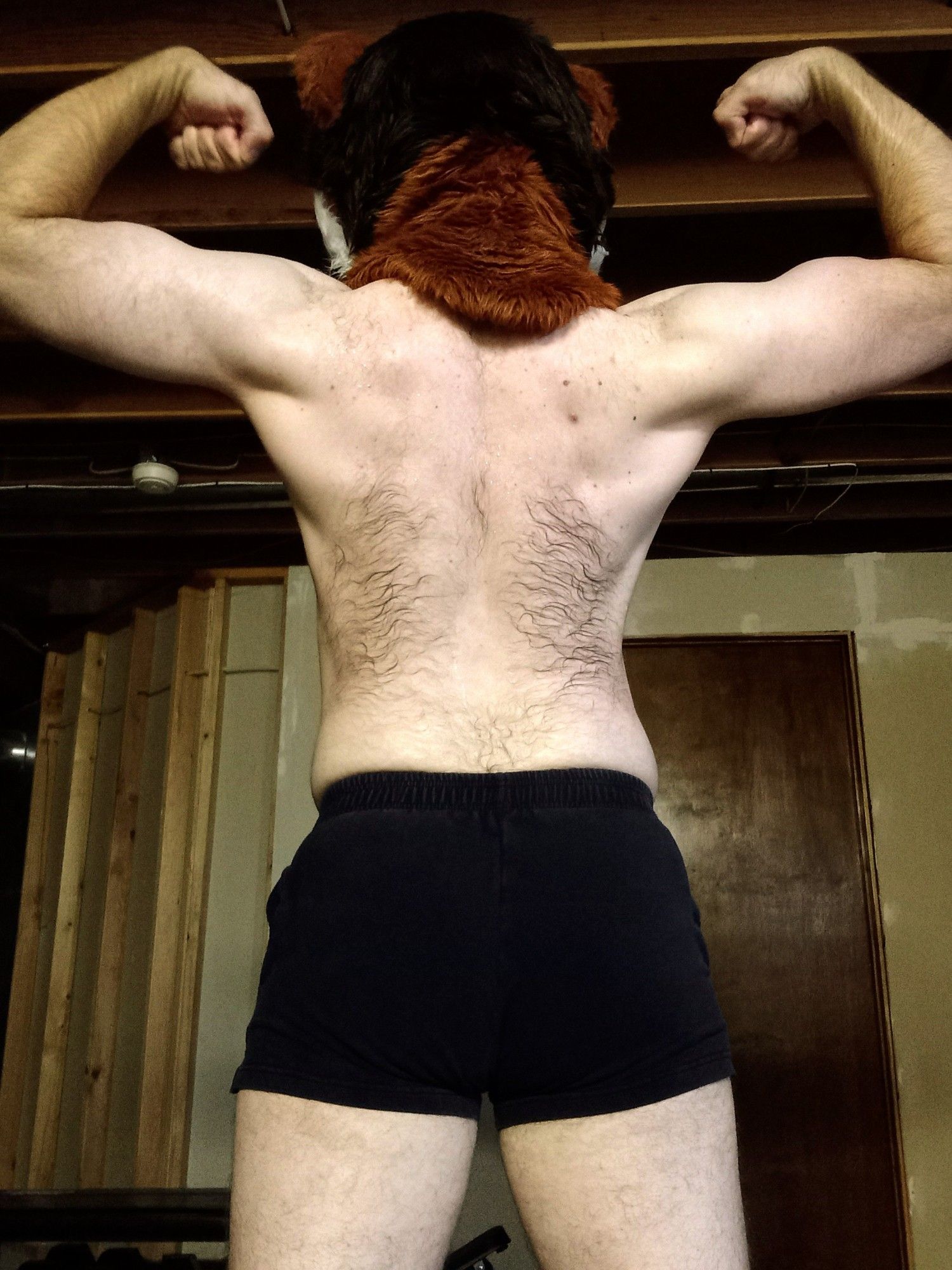 Hairy shirtless man with weasel fursuit head, flexing both arms, with his back turned to the camera.