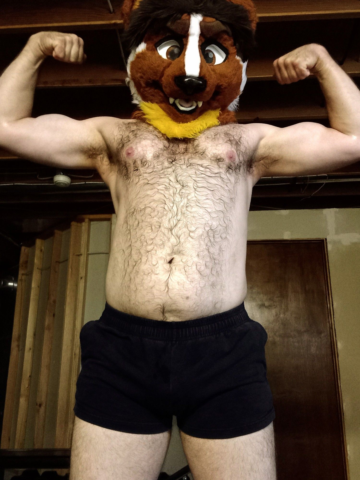 Hairy shirtless man with weasel fursuit head, flexing both arms.