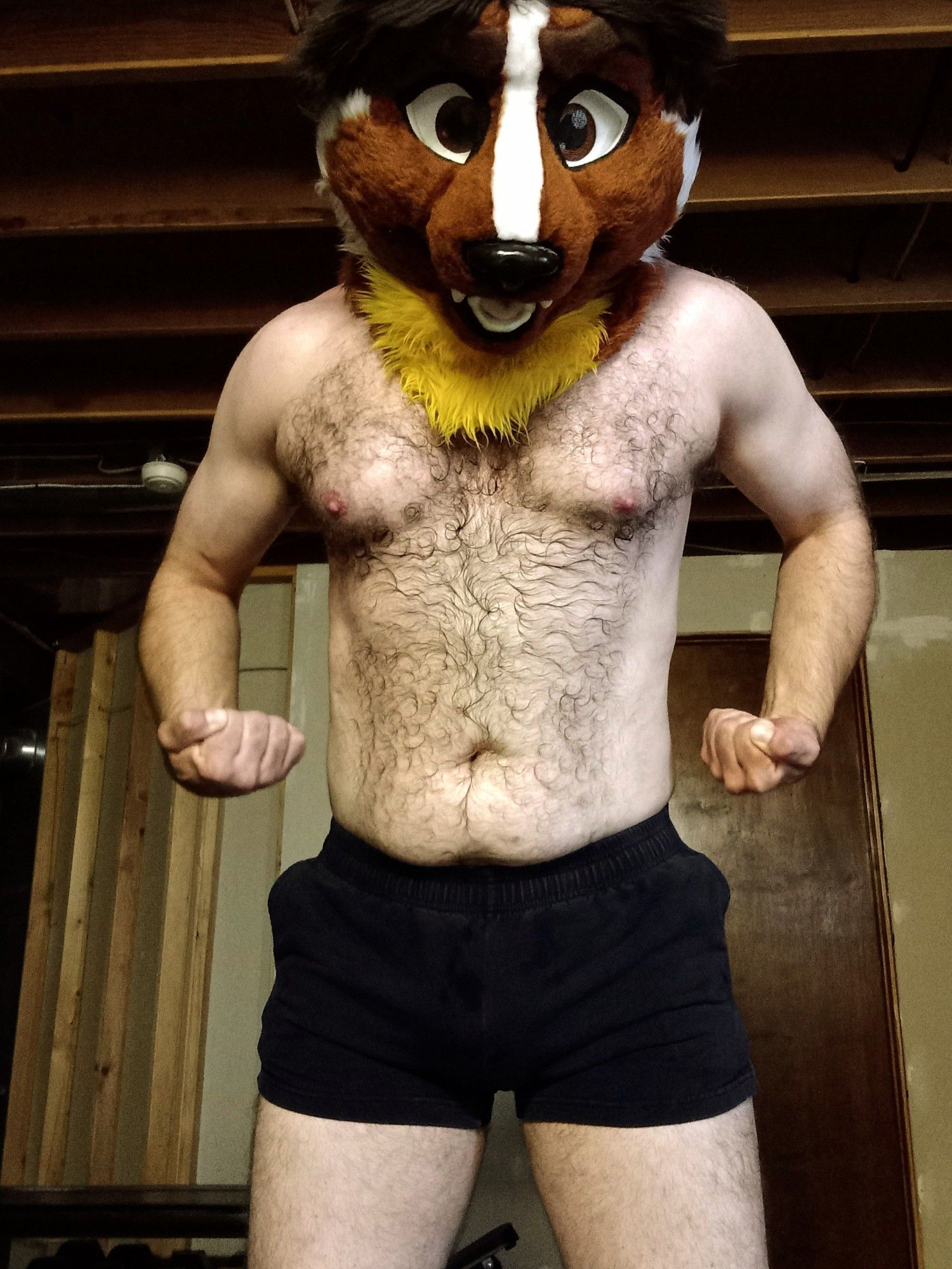 Hairy shirtless man with weasel fursuit head, leaning slightly forward while pulling his arms back, fists clenched.