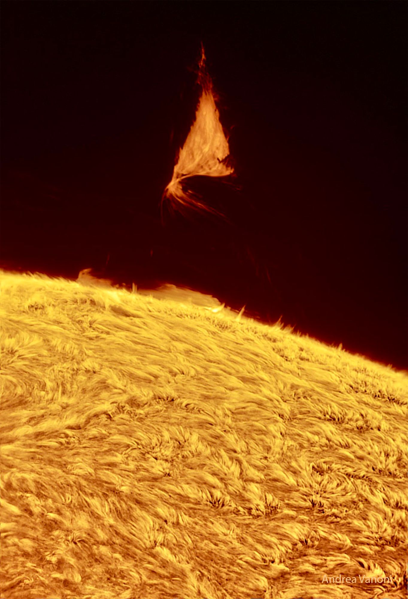 Why is there a triangle hovering over the Sun?  Although the shape is unusual, the type of structure is not: it is part of an evolving solar prominence.  Looping magnetic fields on the Sun channel the flow of energetic particles, sometimes holding glowing gaseous structures aloft for months.  A prominence glows brightly because it contains particularly hot, dense, or opaque solar plasma. The surprising triangular structure occurred last week. Larger than our Earth, the iconic prominence was imaged by several solar photographers and documented by NASA's Solar Dynamic Observatory to form and violently dissipate in about a day. The featured image was captured in a color of red light emitted strongly by hydrogen.  Below, solar fibrils carpet the Sun's chromosphere, while the background sky is so faint in comparison that no stars are visible.  Our Sun's surface has been quite active this year.